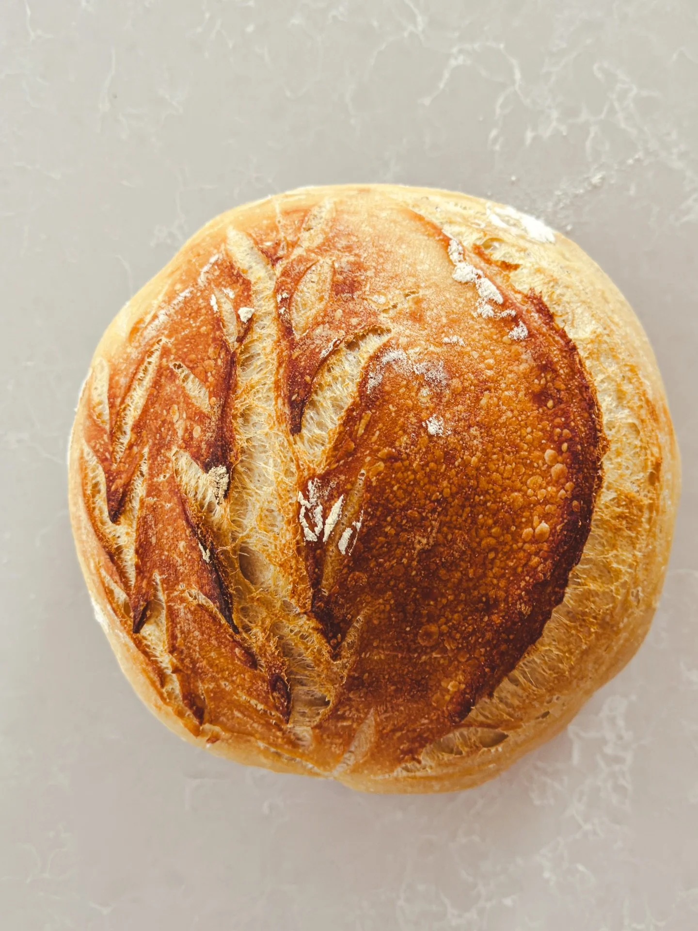 Sunday entrepreneur life.

Bread baking.
Admin brewing.
Maple fed, spoiled, and passed out on mom. 🖤

Reheated rice, ground beef, two fresh over-easy eggs on top. 🤌

Rebuilding our Acuity systems today.
Hers &mdash; coaching + support calls for Ext