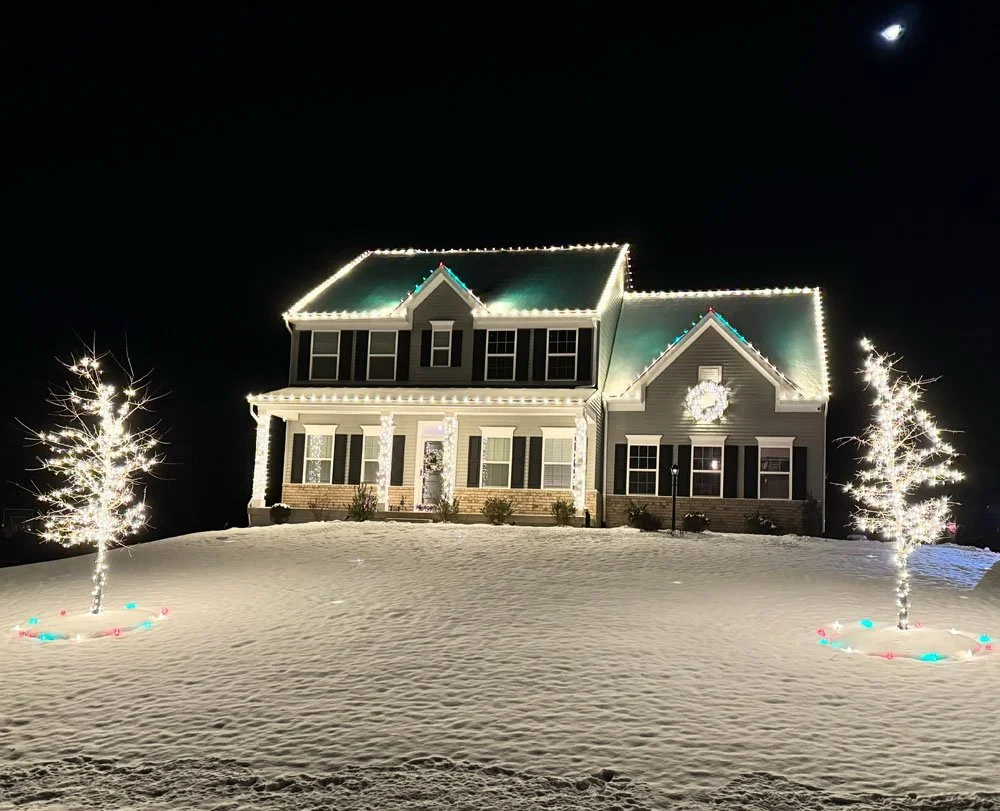 Holiday 03 - snow.jpg