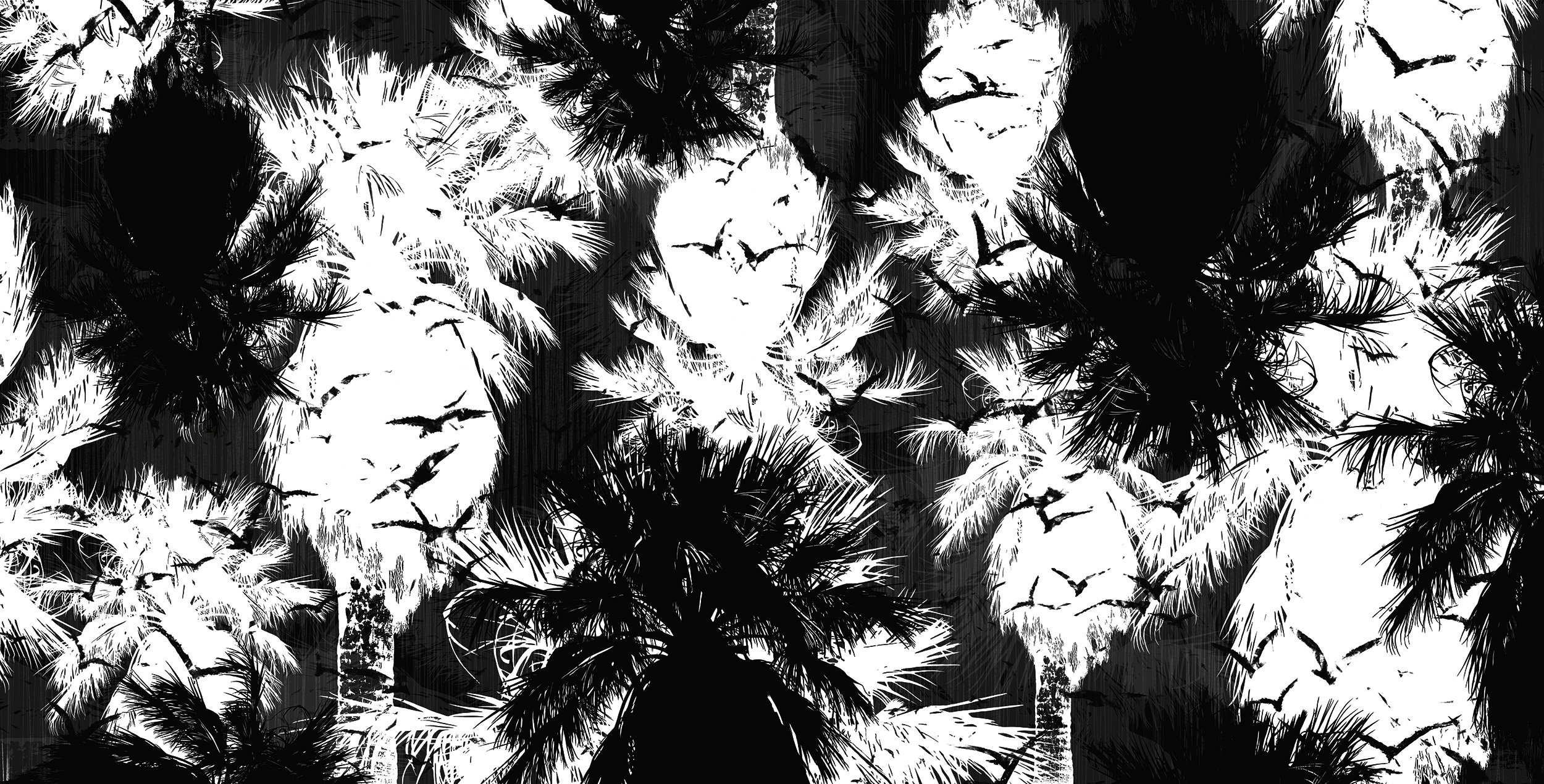 IC1-16-01_Palm Tree Madness_Los Angeles.jpg