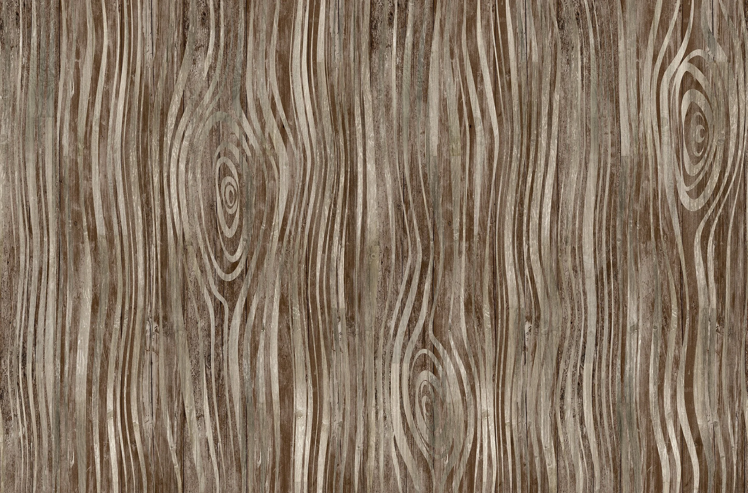 IC1-24-02_Life Lines_Cocoa.jpg