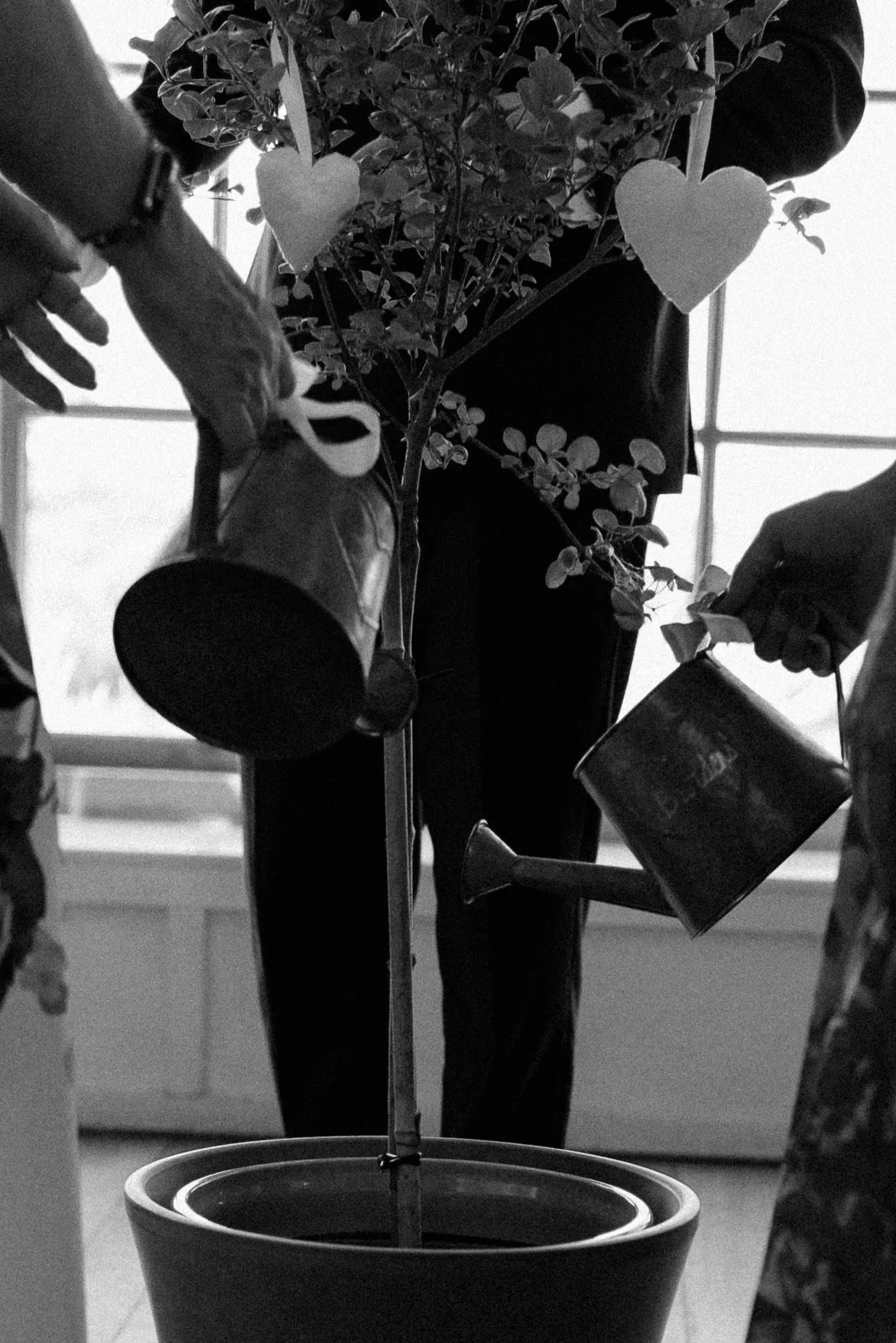 Photo Credit: Sian Hall Photography