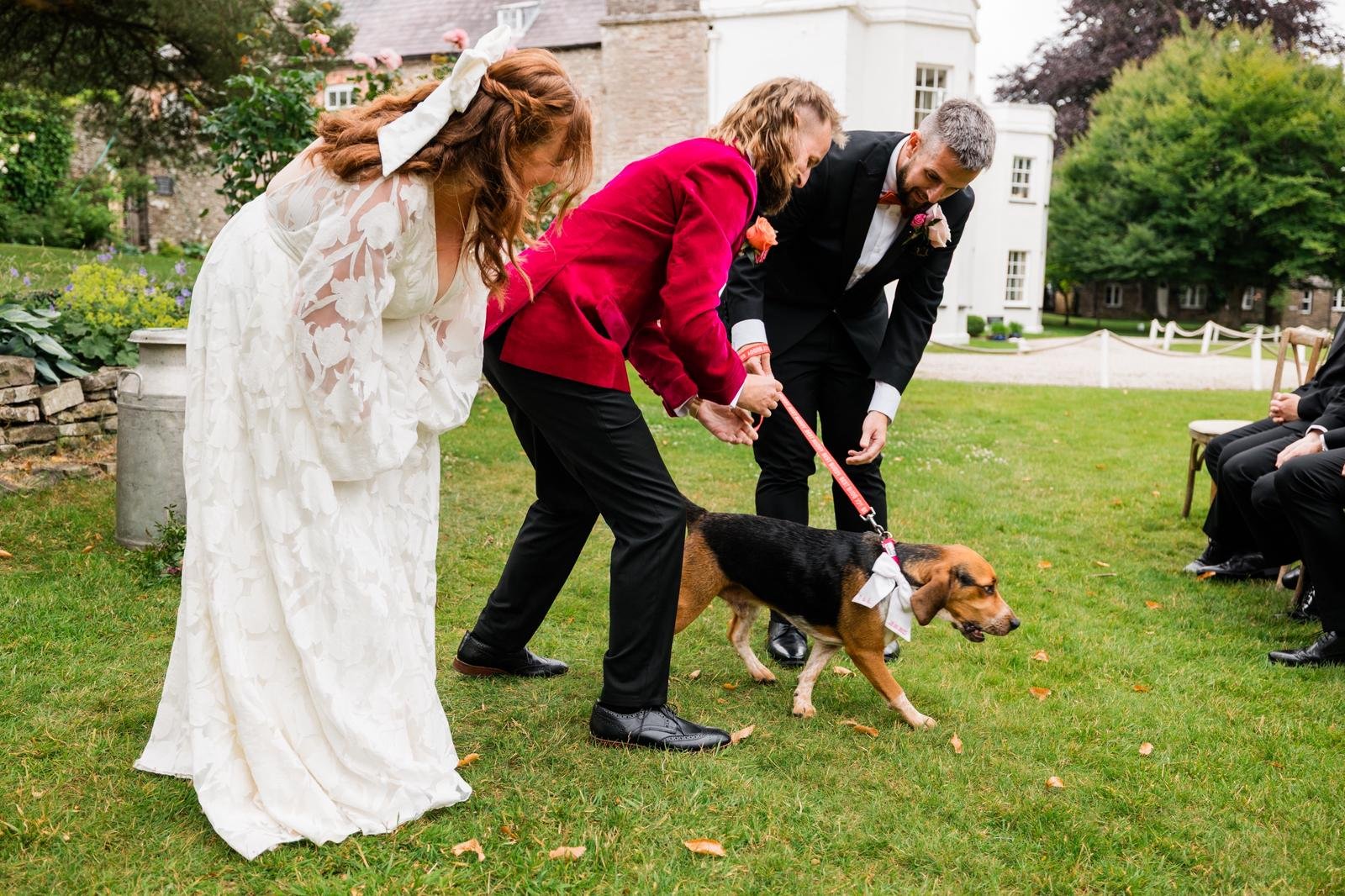 Photo Credit: John Wellings