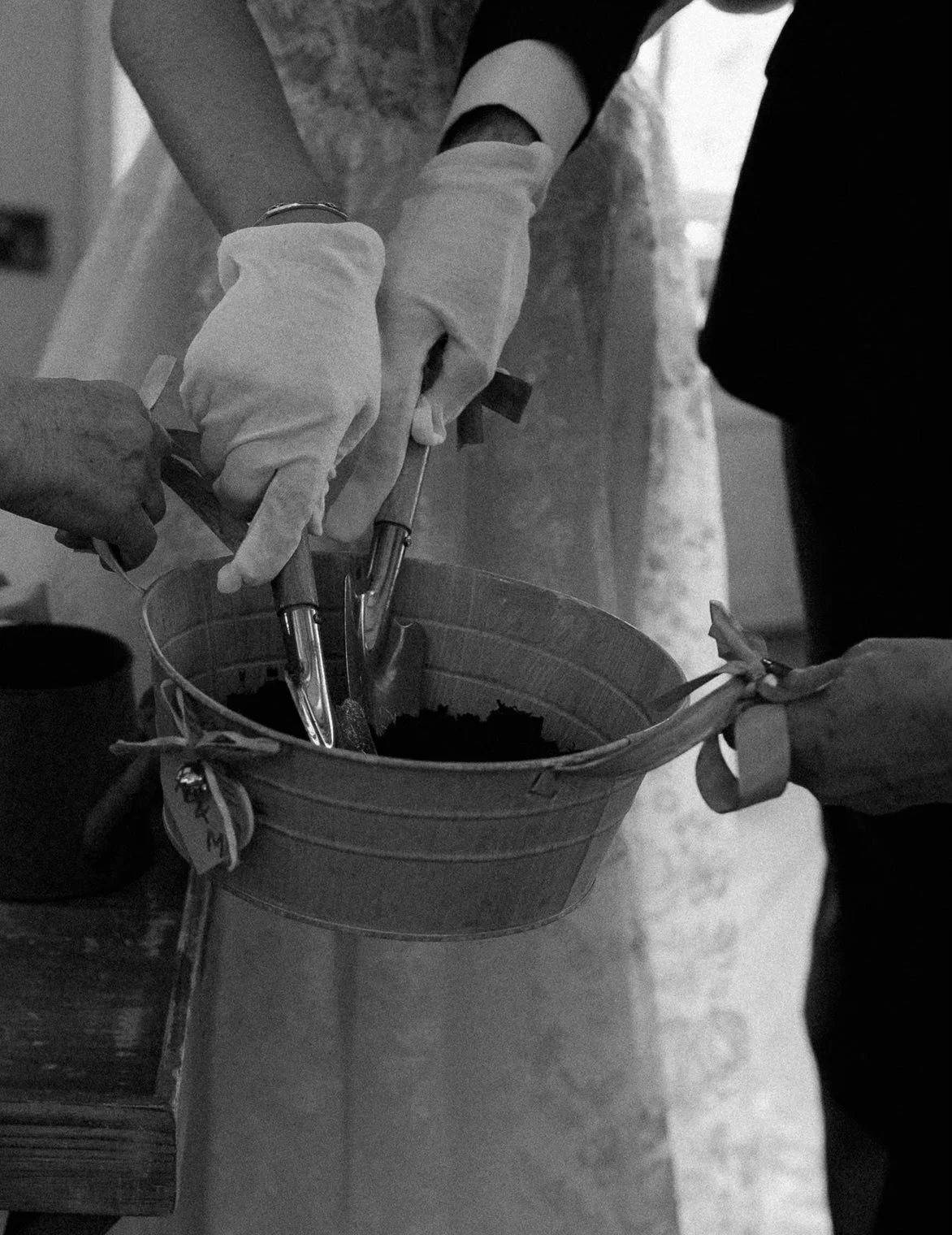 Photo Credit: Sian Hall Photography