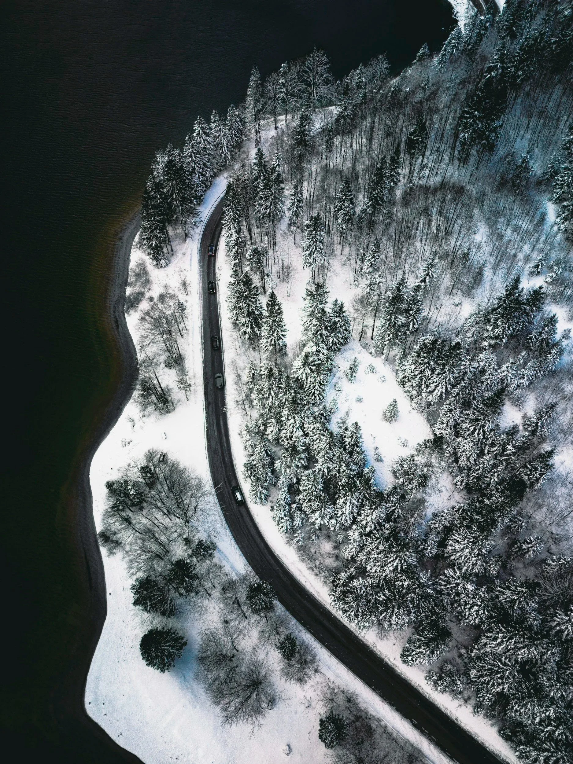 A aerial view of a snow-covered forest alongside a curved road with vehicles, adjacent to a dark body of water.