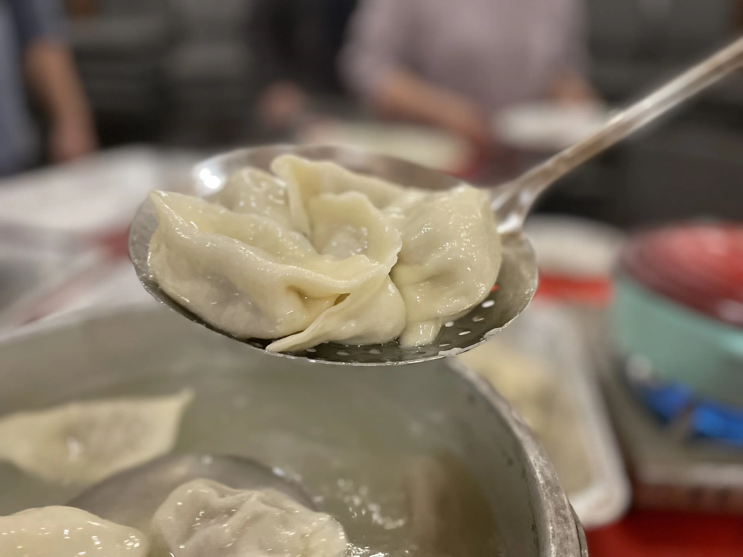 春节年夜特别活动：基督里的更新与归家