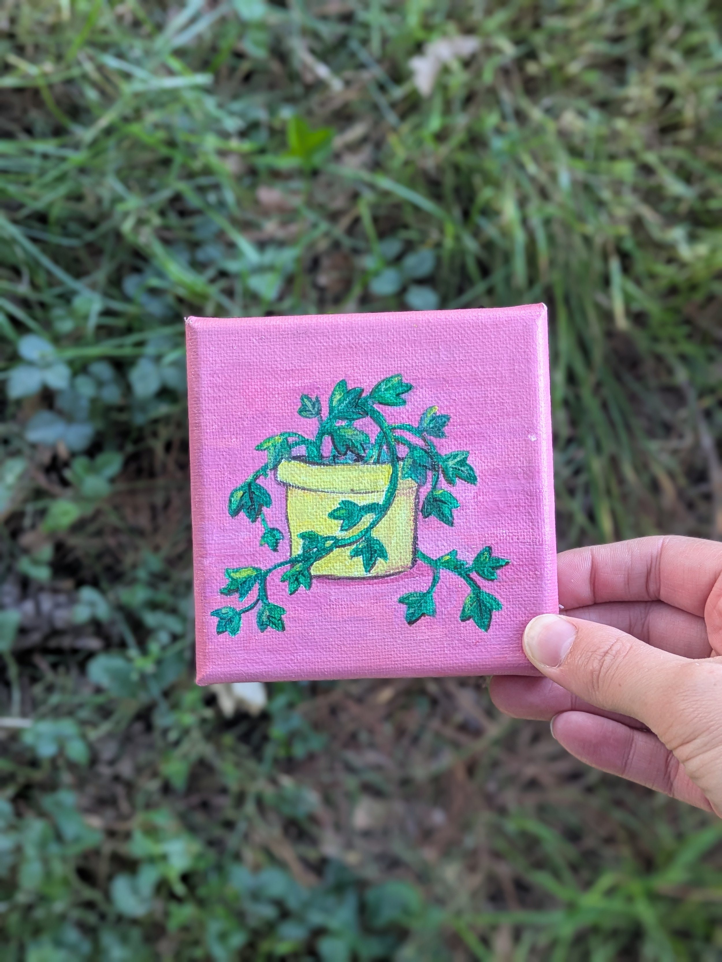 Tiny Ivy Plant | original canvas