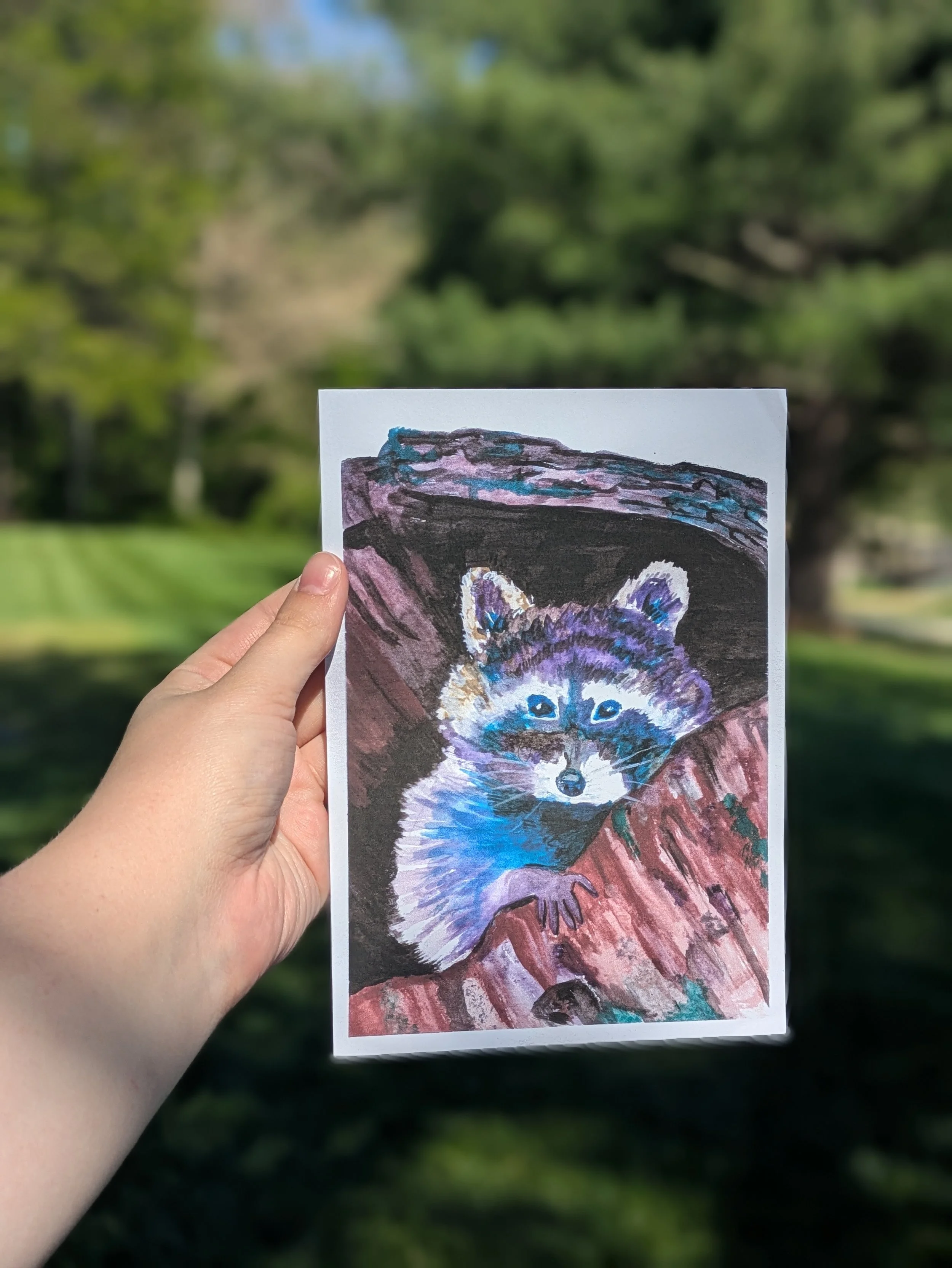 Colorful Raccoon Print