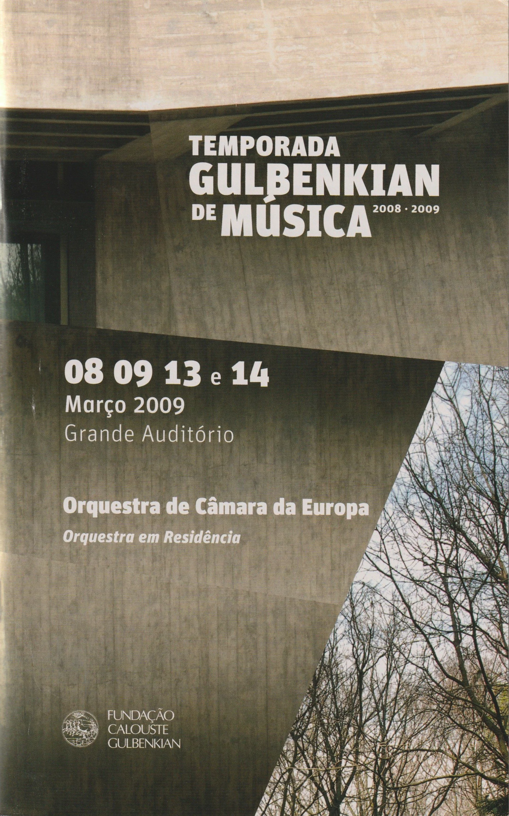 2009_anamafaldacastro.jpeg