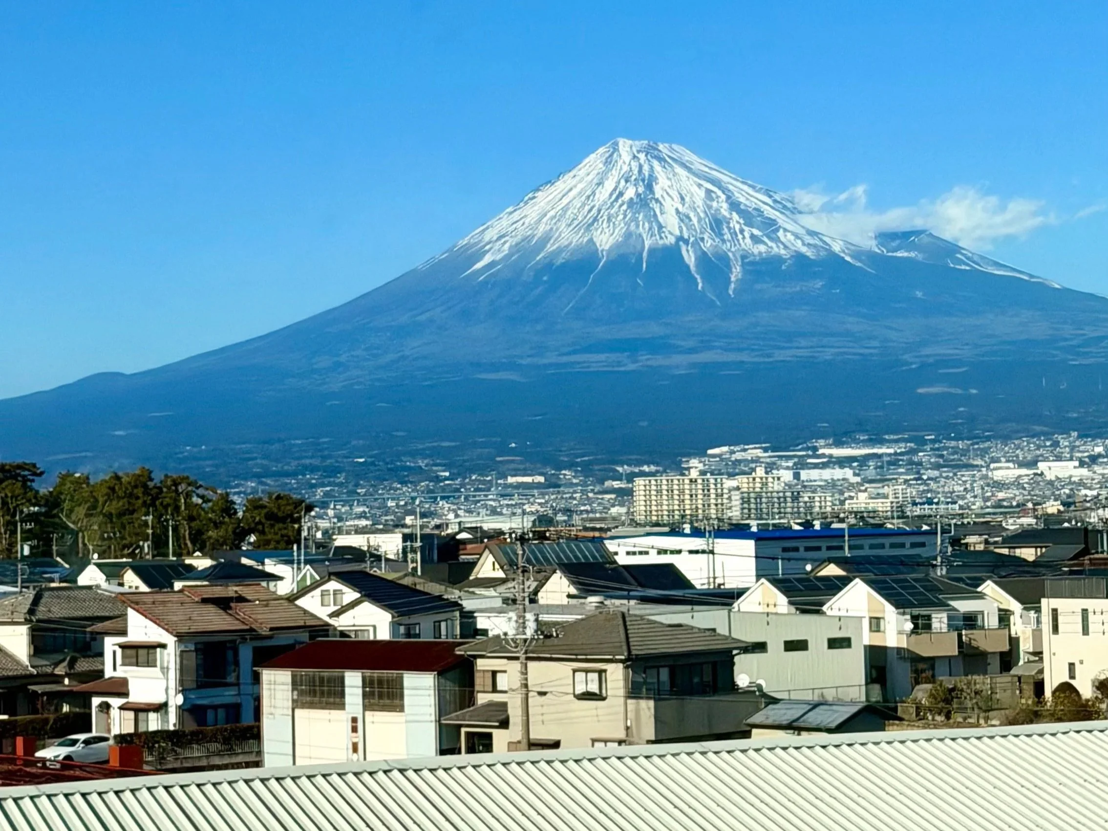 Trimming &amp; Proofing!