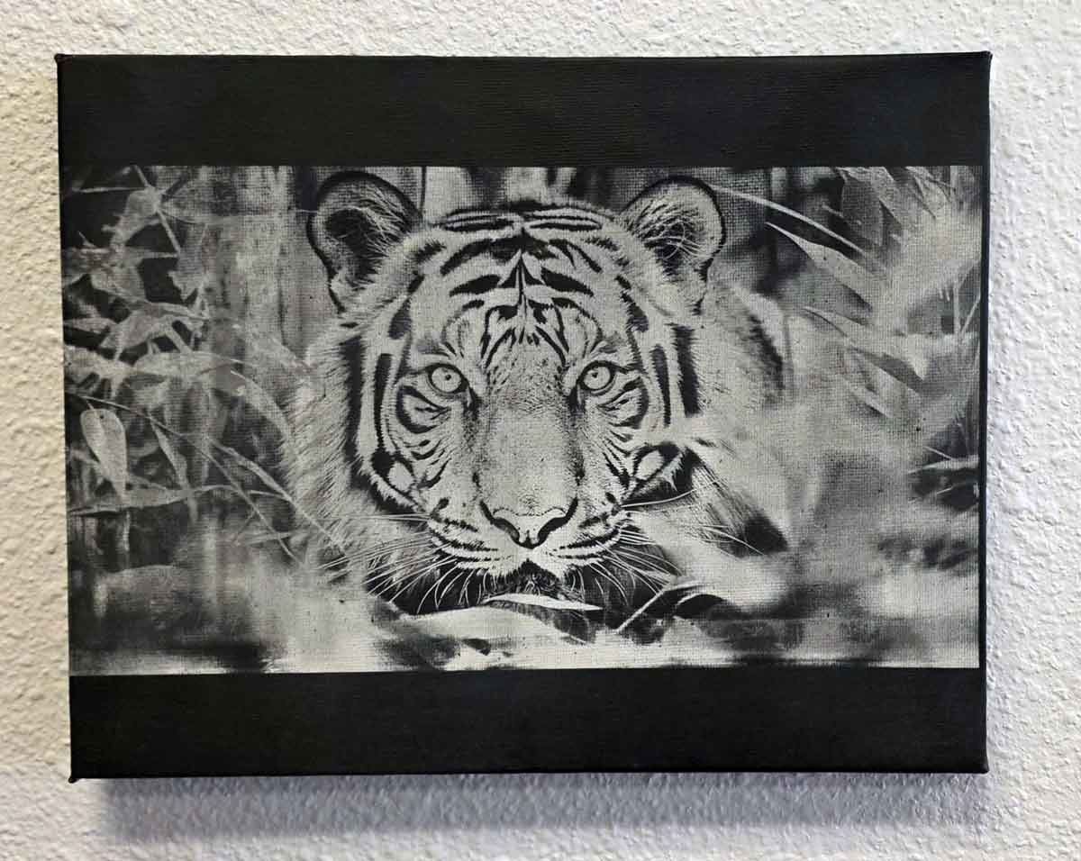 Black and white artwork of a tiger’s face surrounded by leaves.