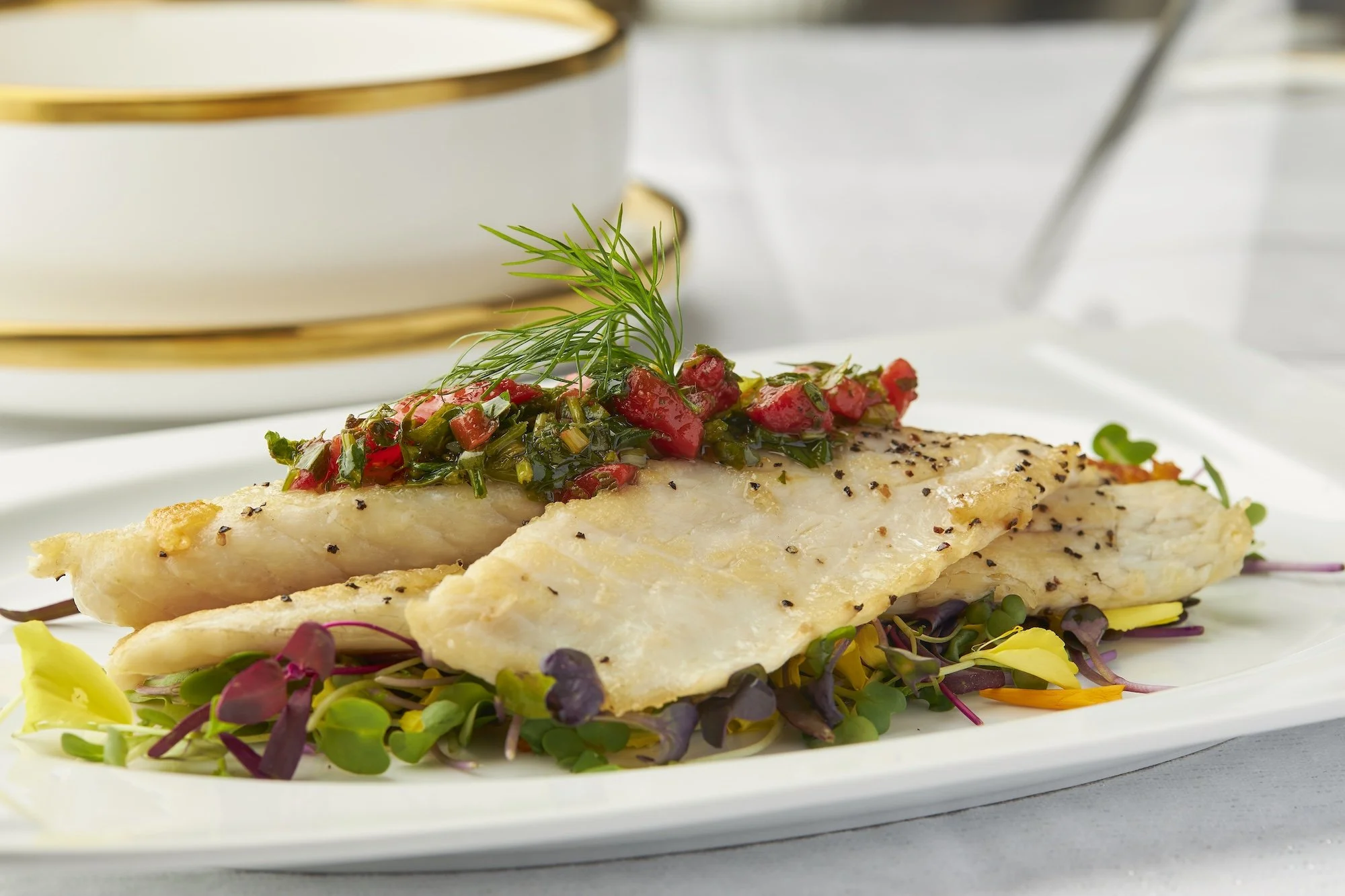 PASOVER DELUX FEB 20239066.jpg