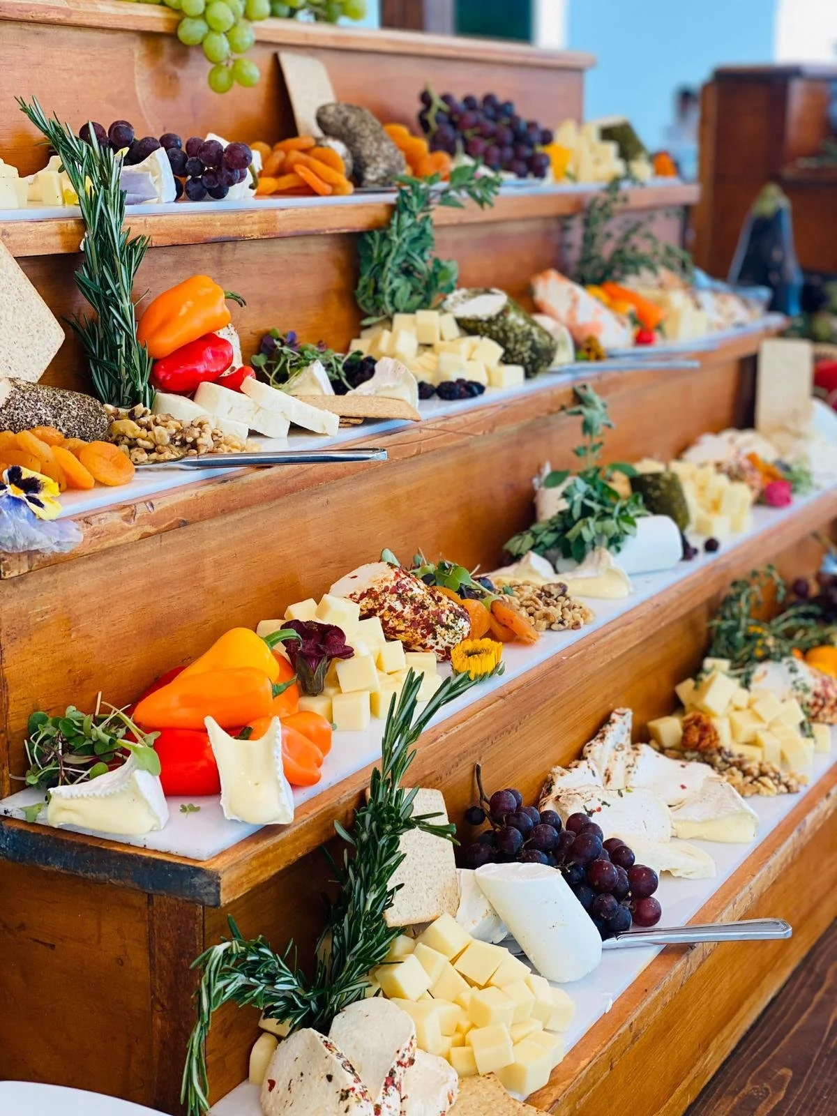 PHOTO-2025-06-23-23-06-53 2.jpg