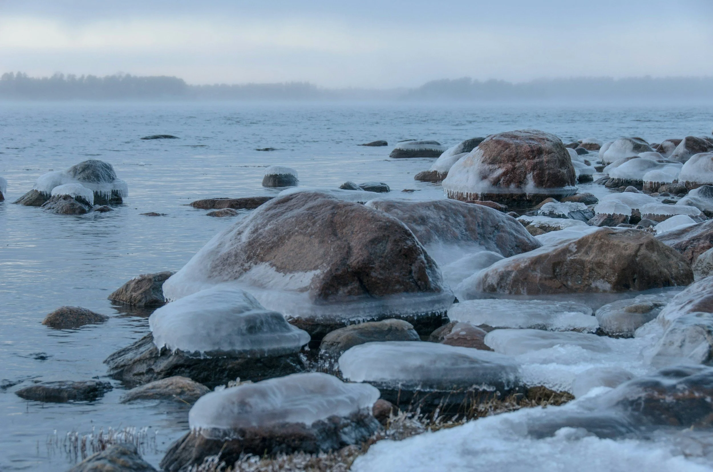 January Is a Season, Not a Command