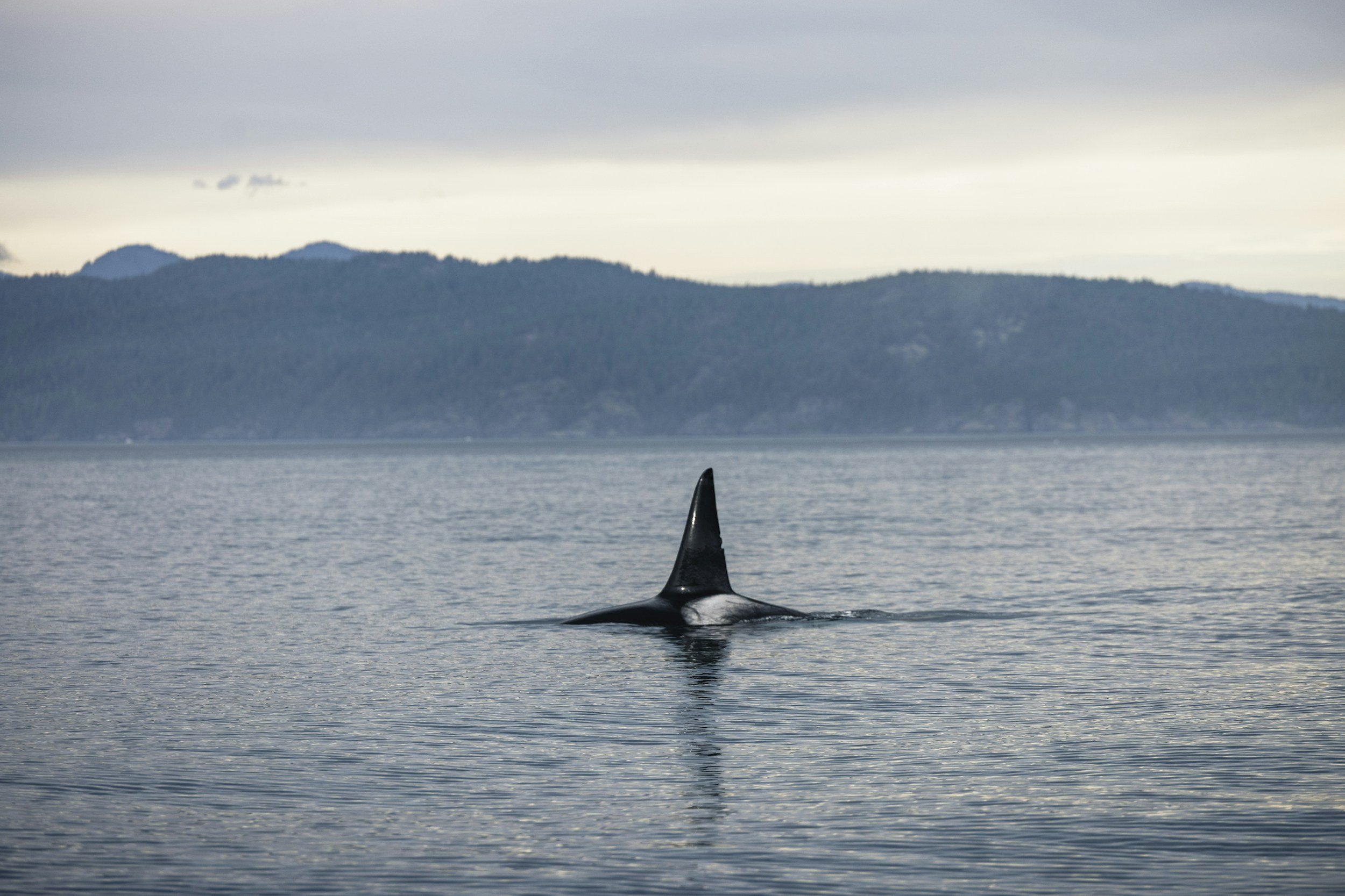 Silhouette of a man standing on a rock at sunset, representing individual therapy and the process of personal reflection and growth.