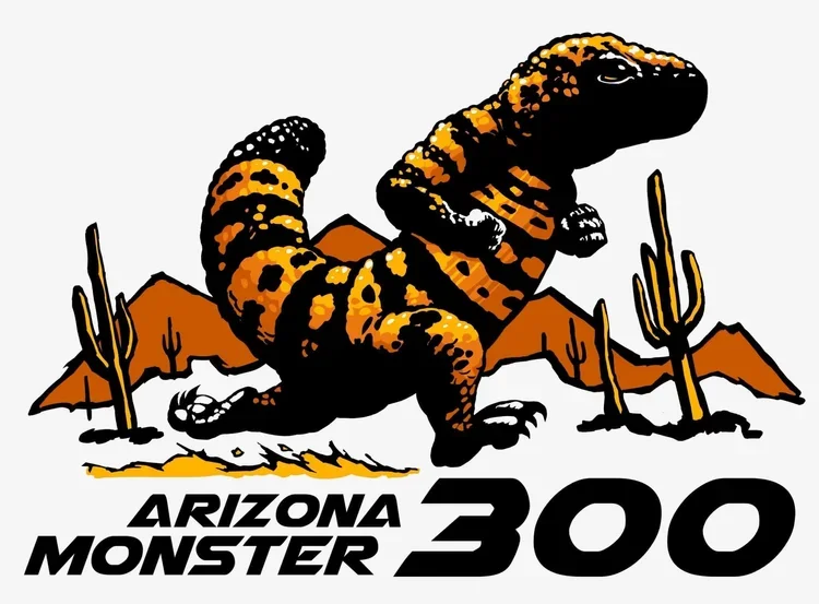 2026 ARIZONA MONSTER 300