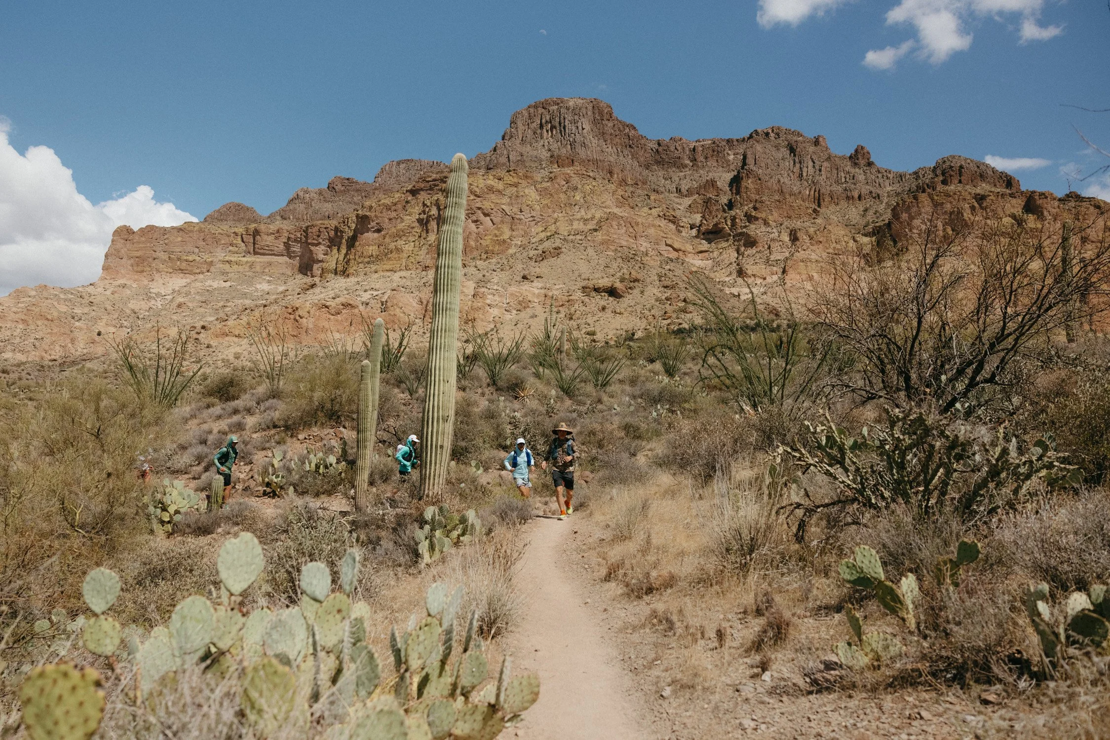 Four hikers walking along a dirt trail in a desert landscape with tall cacti, dry bushes, and rocky mountains under a partly cloudy sky.