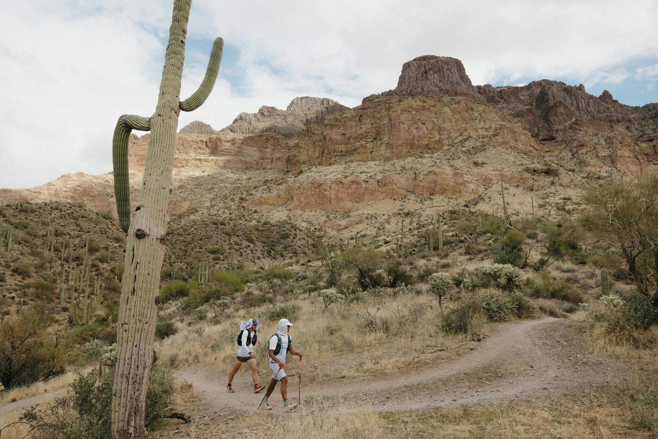 Two hikers walking along a dirt trail in a desert landscape with cacti, shrubs, and rocky mountains in the background.