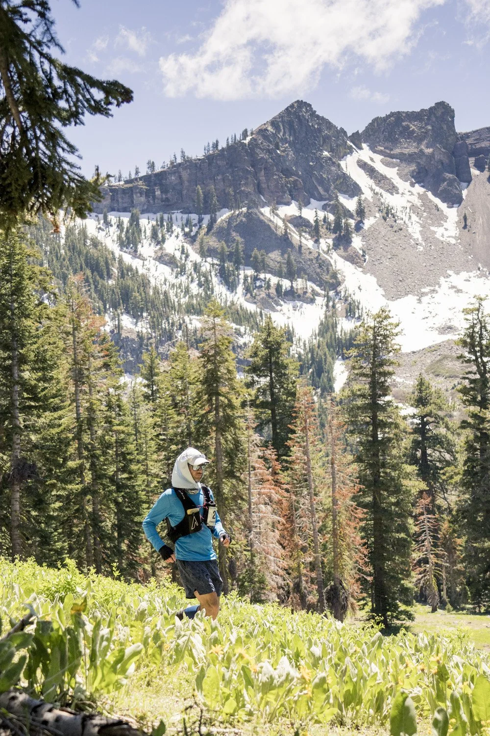 A runner in a blue jacket, black shorts, and a white hat, wearing a hydration vest, running through a lush green field in a mountainous forest with snow-capped peaks in the background.