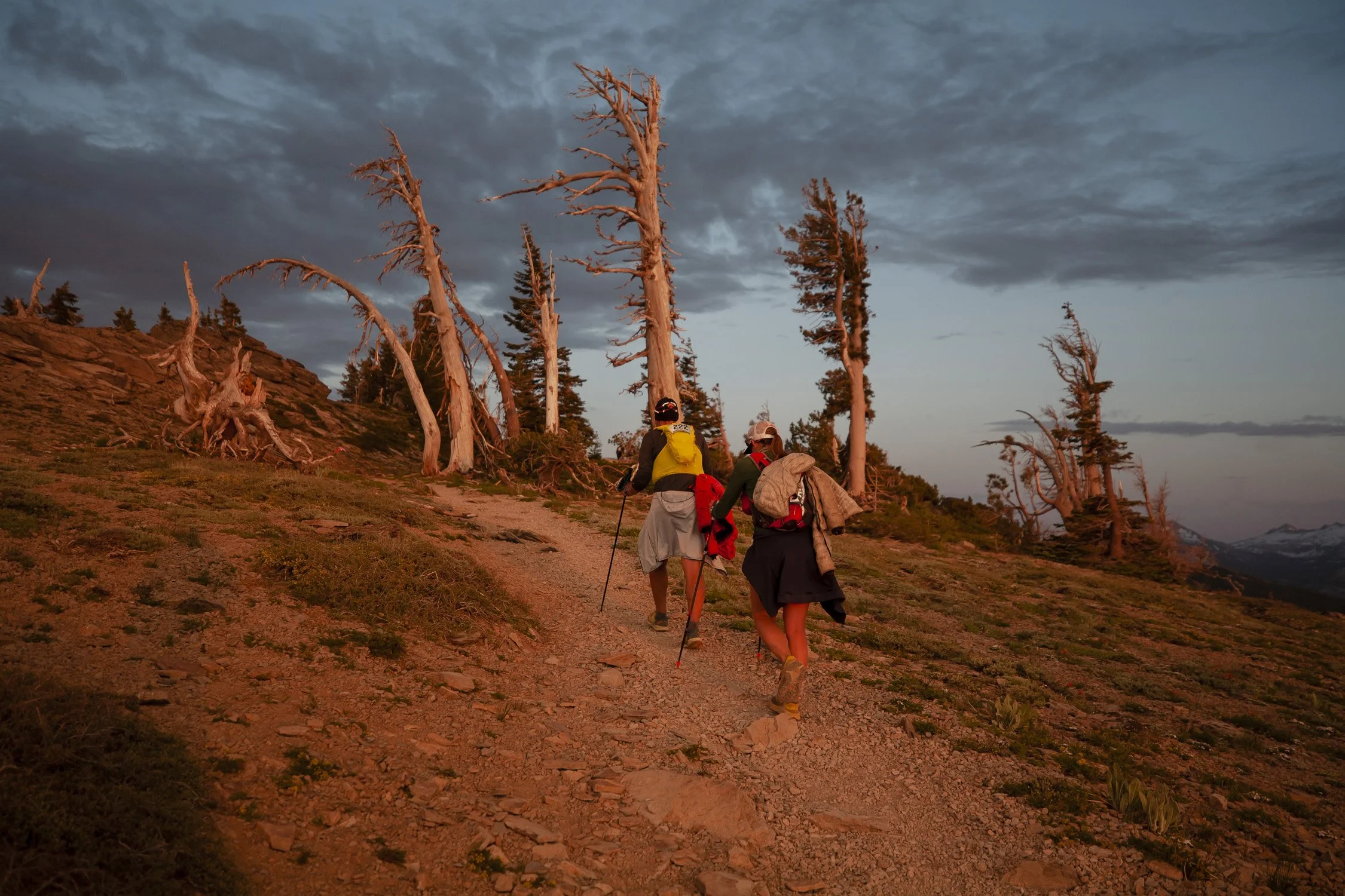 Two hikers ascending a rocky trail at sunset in a mountainous landscape with tall, weathered trees.