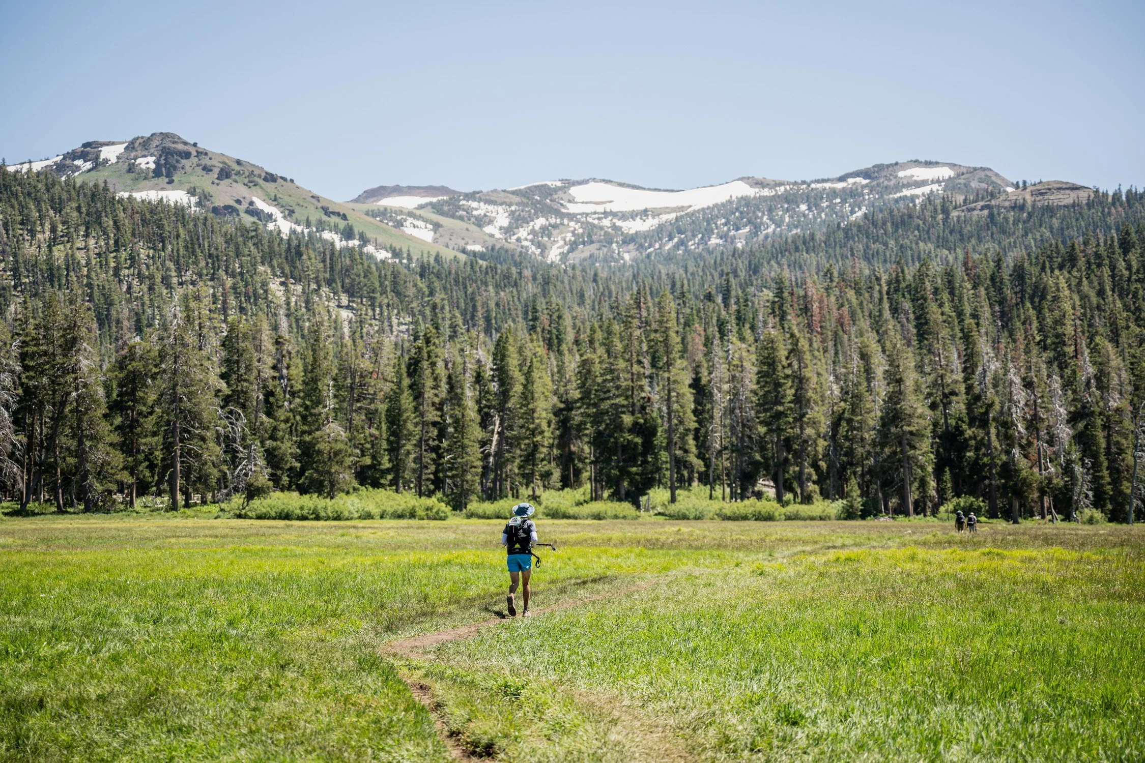 Person hiking in a grassy field with trees and mountains in the background.