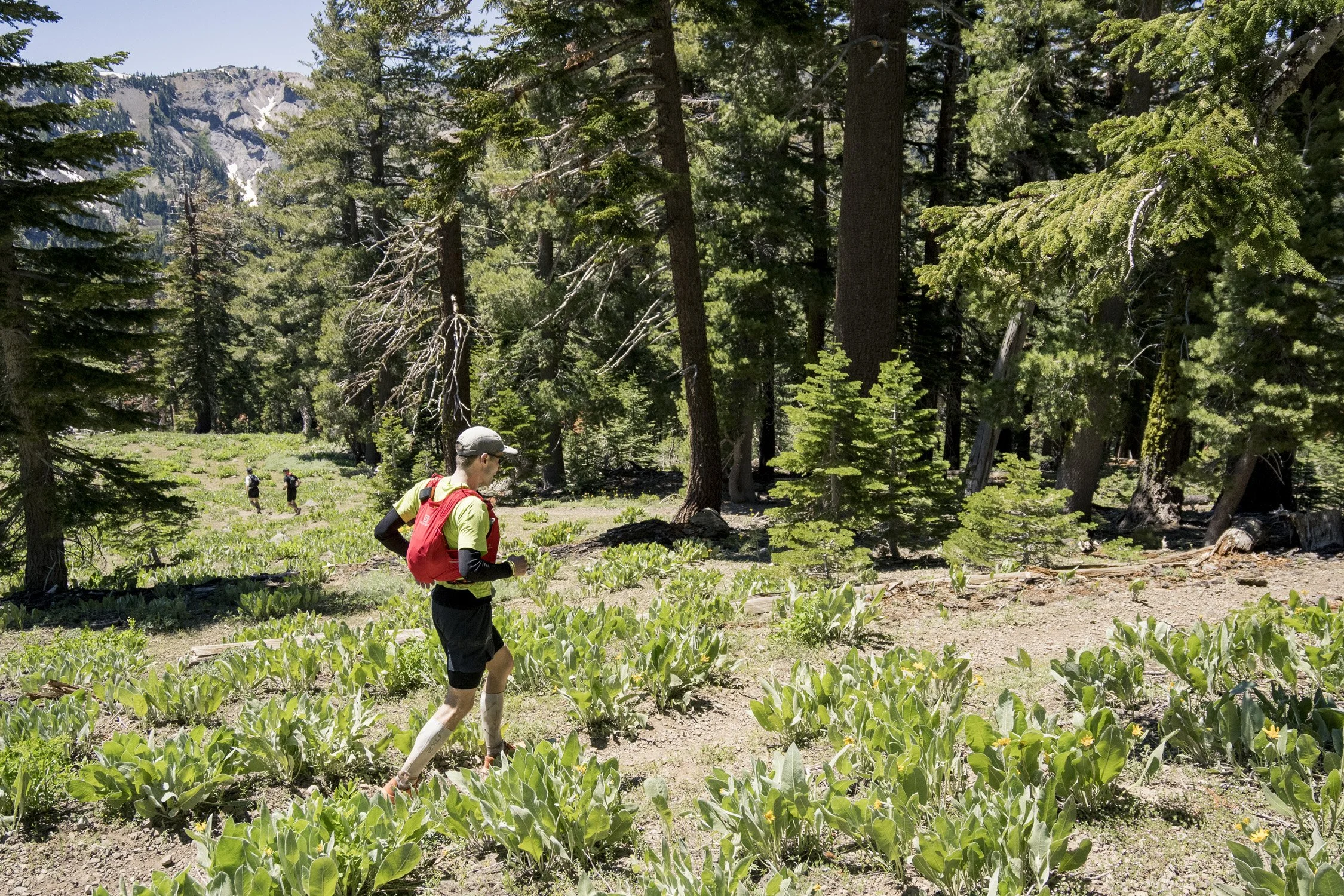 A person wearing a green shirt, black shorts, and a red backpack runs through a lush forest with tall trees and green plants, with other runners visible in the background.