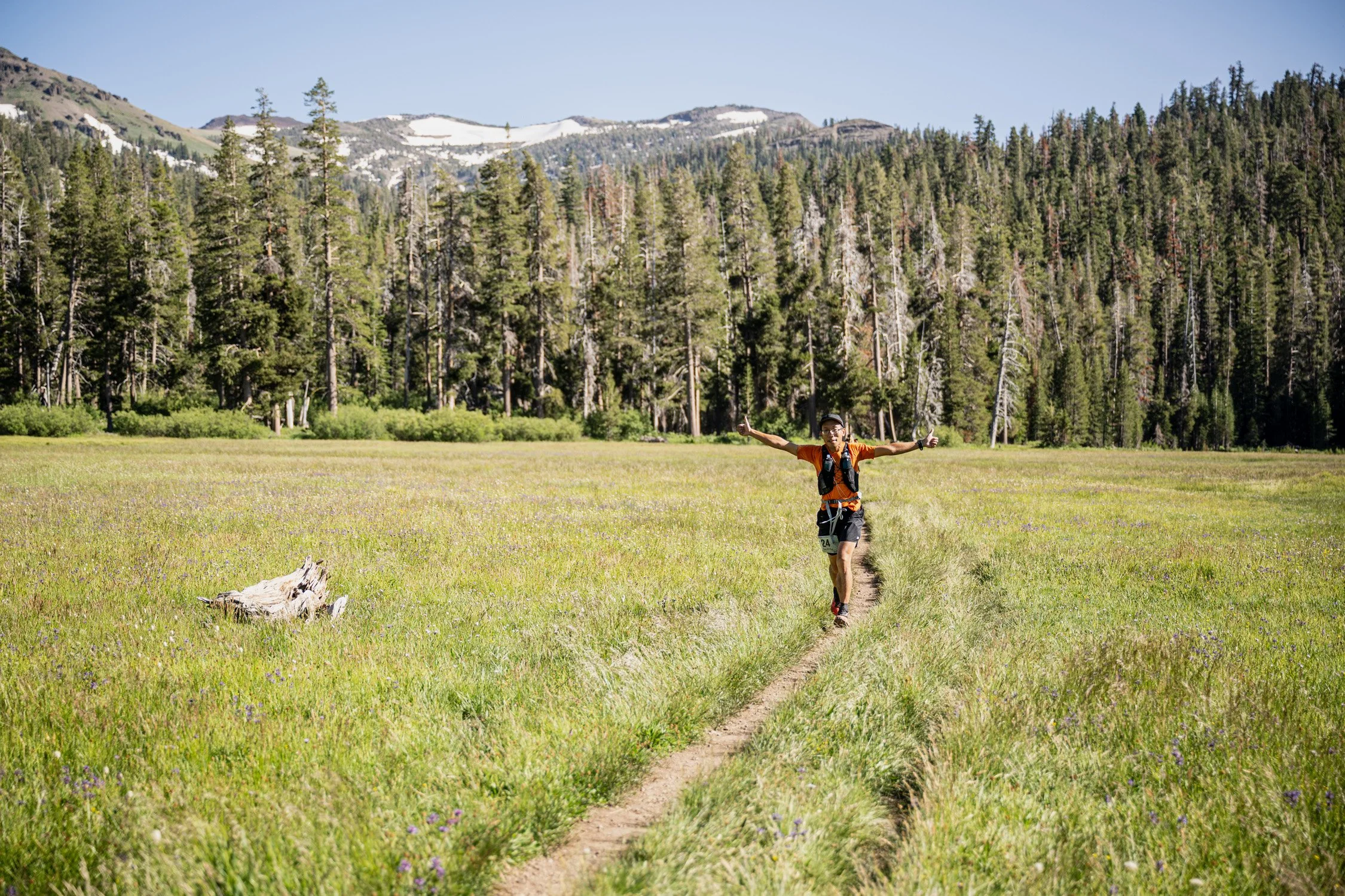 A man running on a narrow dirt trail through a lush green meadow, with tall pine trees and snow-capped mountains in the background, under a clear blue sky.