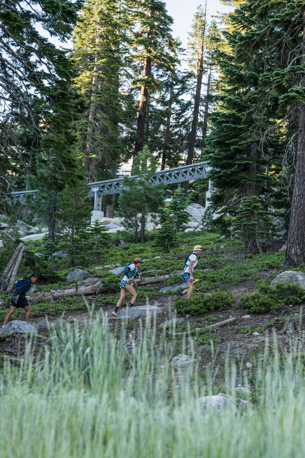Three people hiking through a forested area with tall trees, rocks, and a wooden bridge visible in the background.