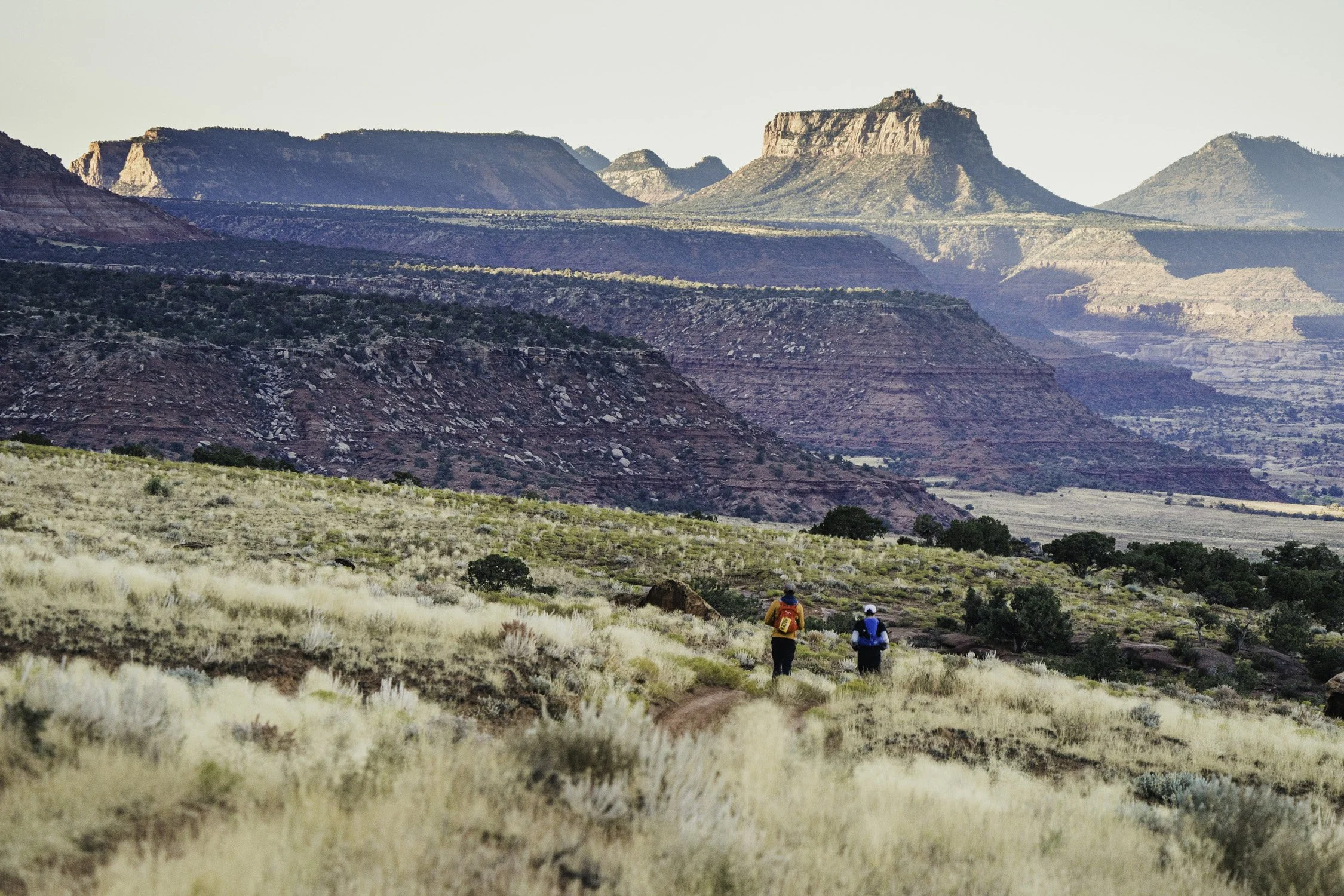 Two hikers walking along a dirt trail in a vast, arid desert landscape with layered red and purple rock formations and mesas in the background.