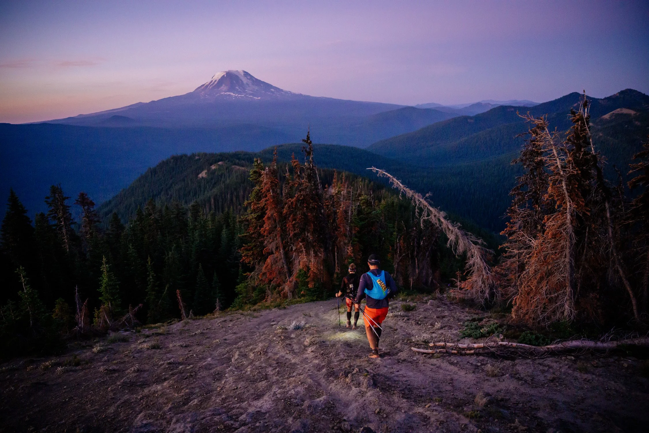Hikers walking on a trail in a forested mountain area during twilight with Mount Hood in the background.