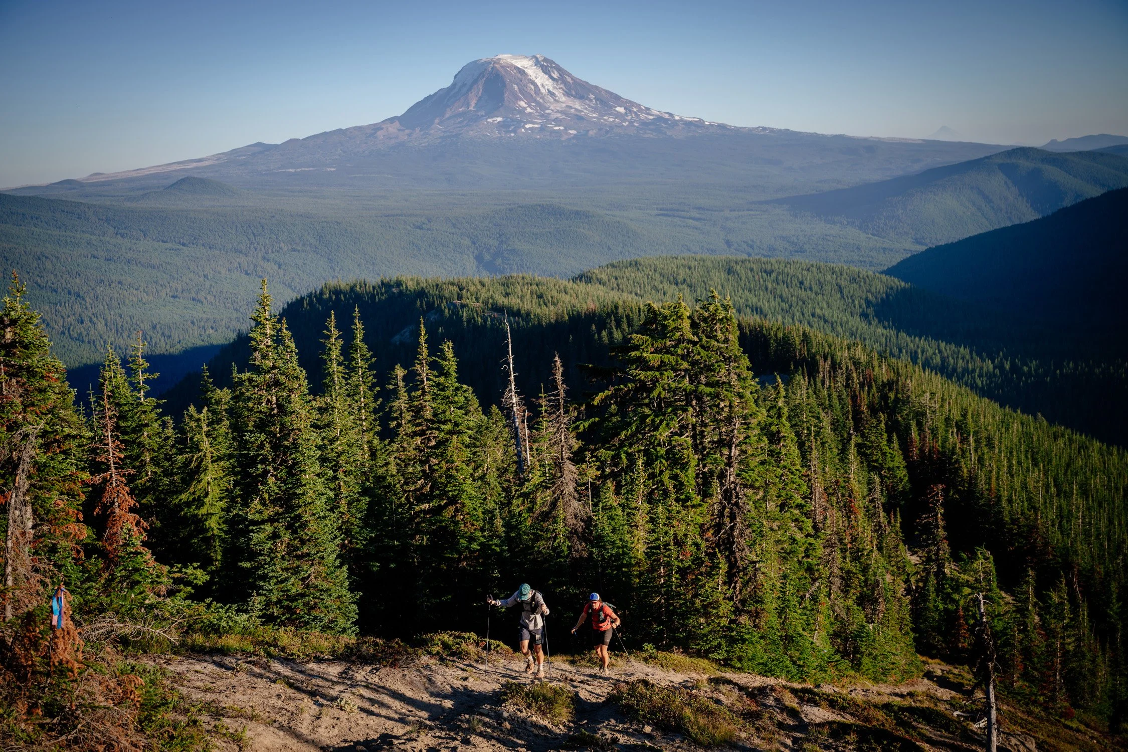 Two hikers walking along a trail in a forested mountain landscape with a snow-capped mountain in the background.