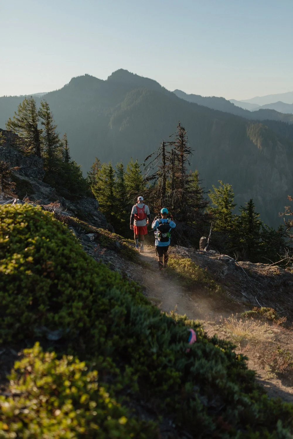 Two hikers with backpacks walking on a trail through a mountainous forest, with tall pine trees and distant mountain peaks under a clear sky.