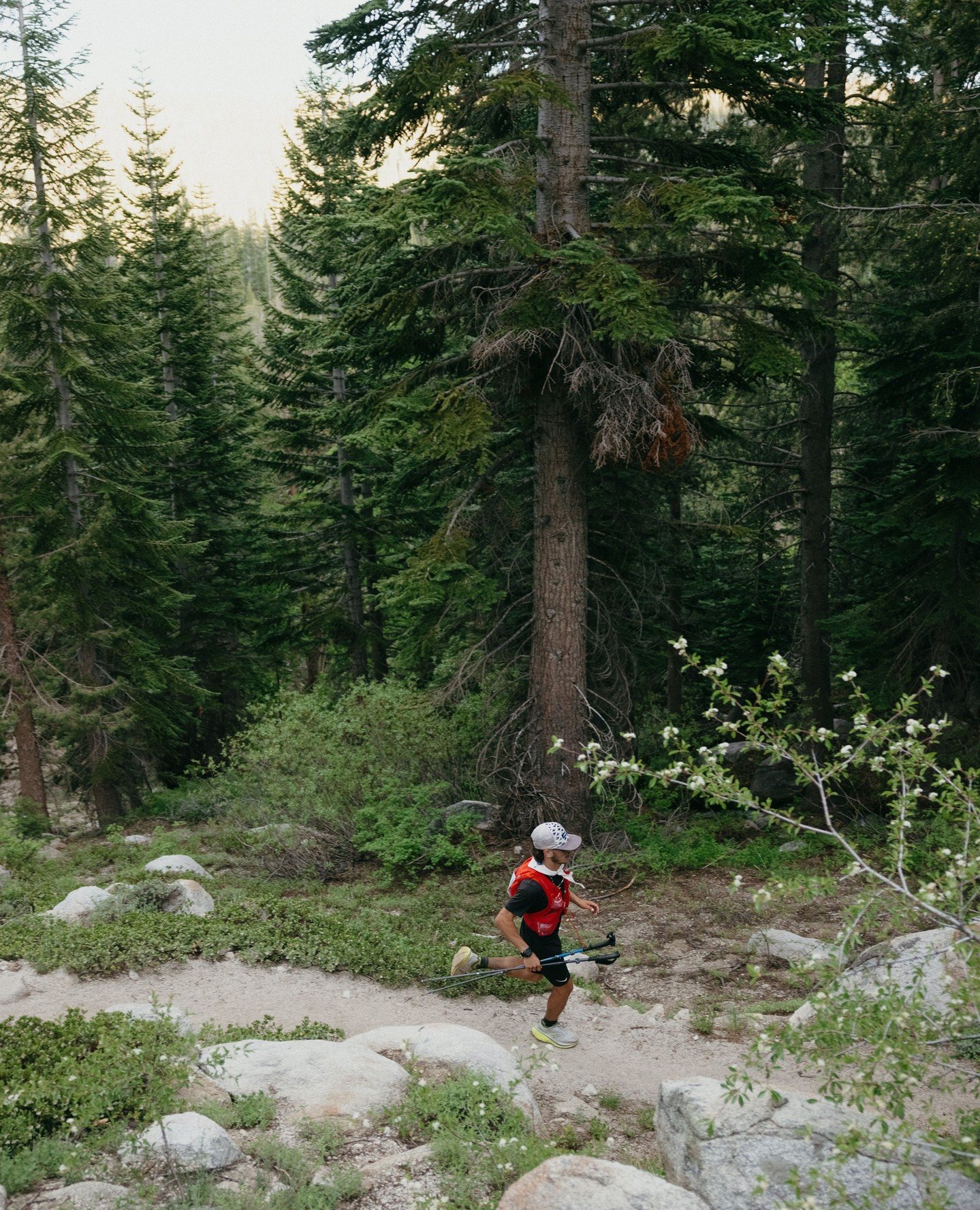Wanna run an ultra but not ready for 200+ miles? 🍀 It's your lucky day!⁠
⁠
We've got two races in that sweet spot that'll still make your legs hate you (in the best way).⁠
⁠
🏔️ Tahoe 100K | June 14, 2026⁠
62.9 miles, 11,500ft of climbing, alpine la