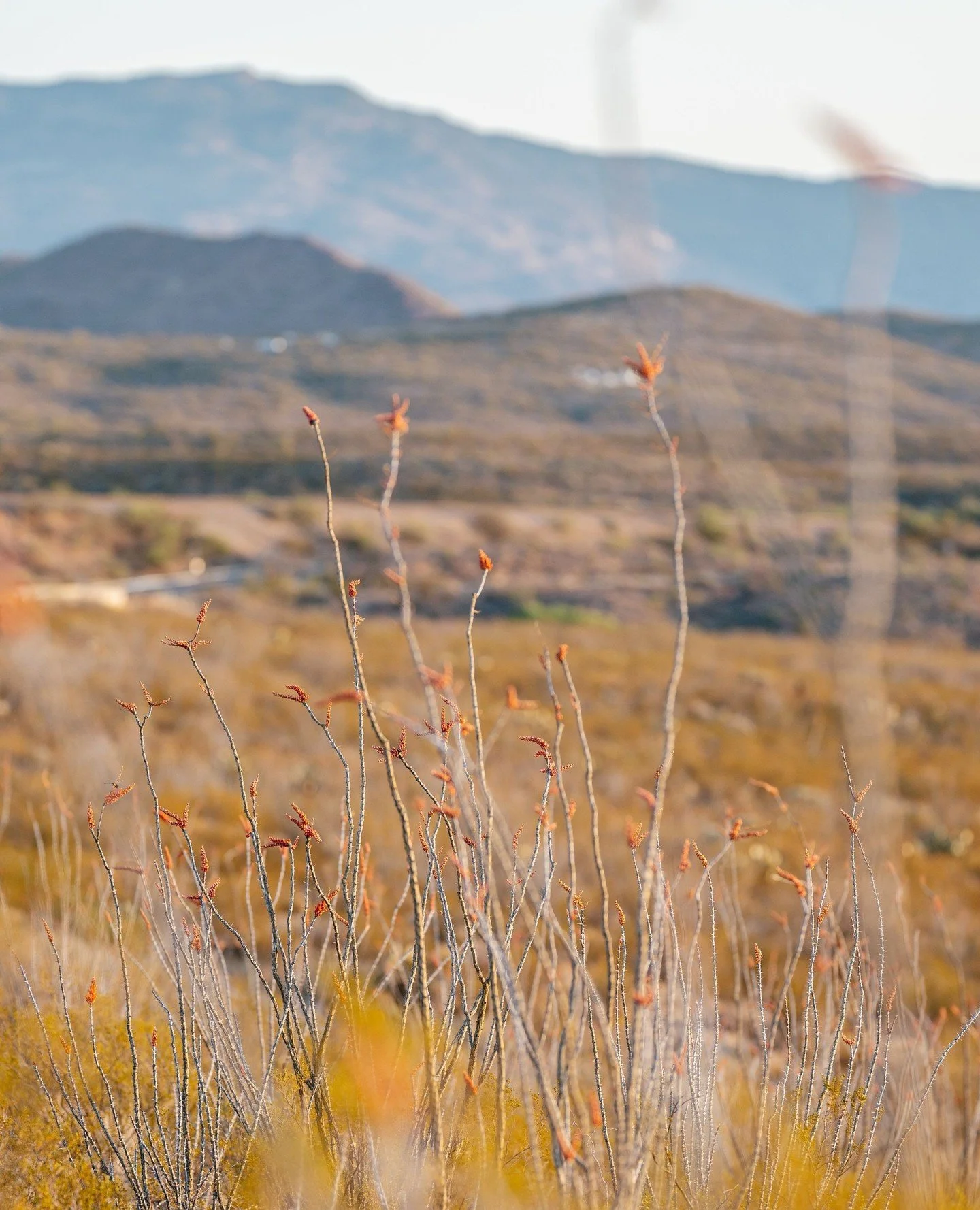 Every summit, every muddy descent, every 'why am I doing this' moment is courtesy of our incredible planet. Happy Earth Day! 🌍⁠
⁠
These shots are from the Arizona Trail, home of our Arizona Monster 300, and a place we love dearly. That's why the @az
