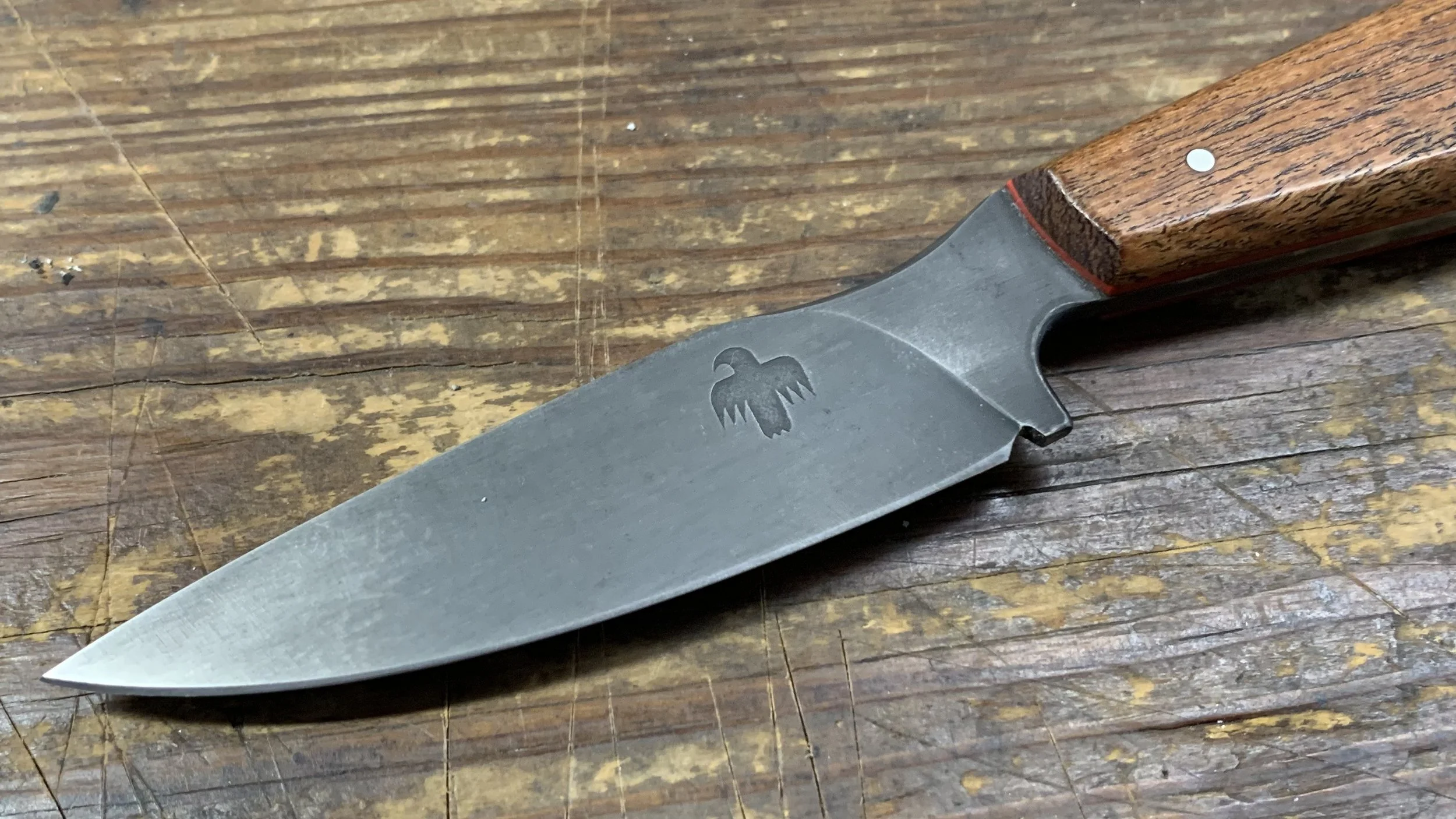 Sabine EDC 12 (10).jpg
