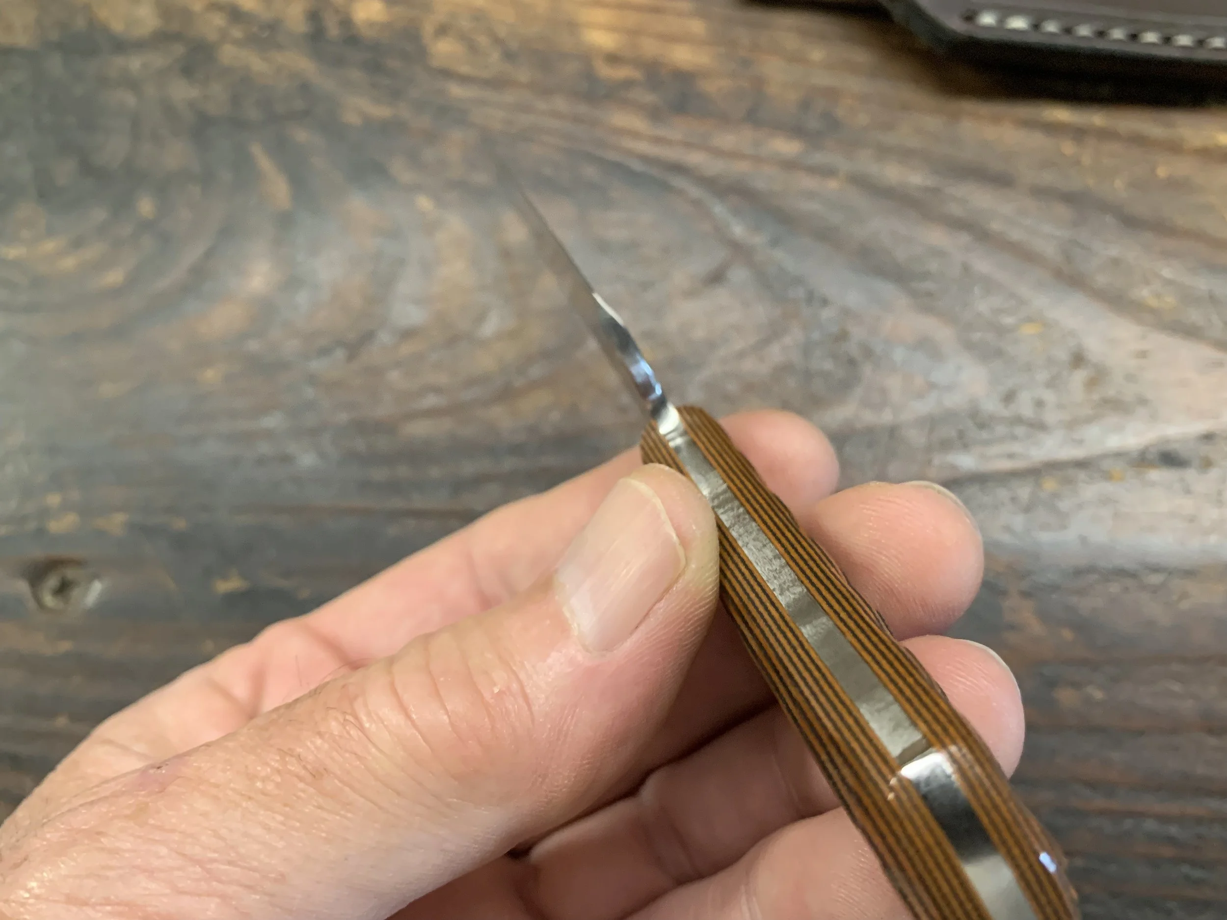 Frio1 EDC 7.jpg