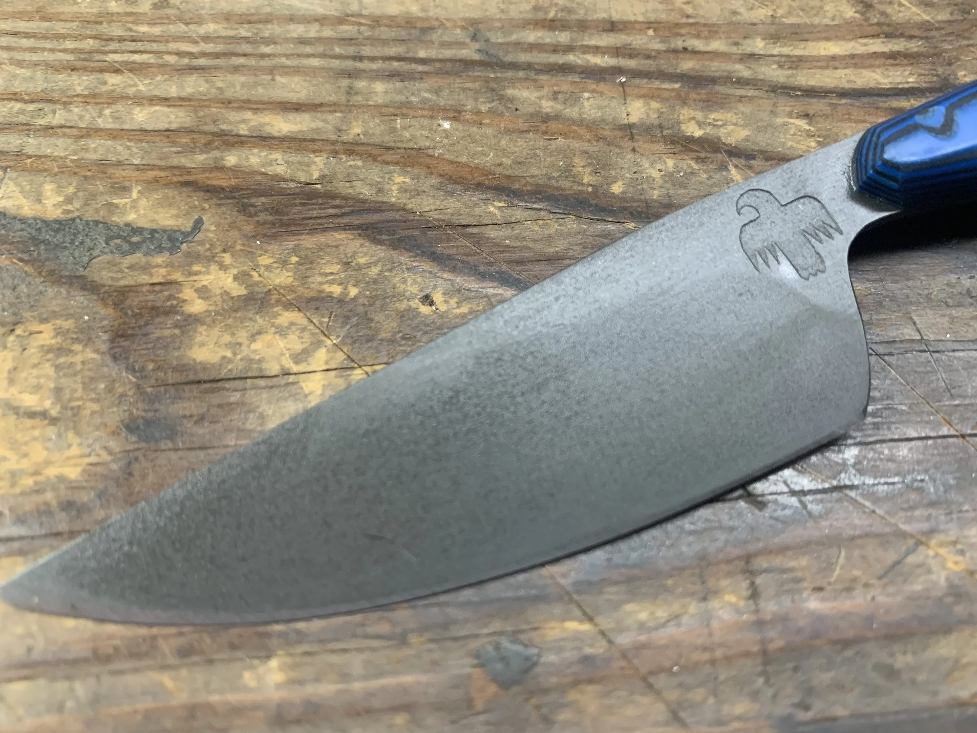 Comal 12 5.jpg