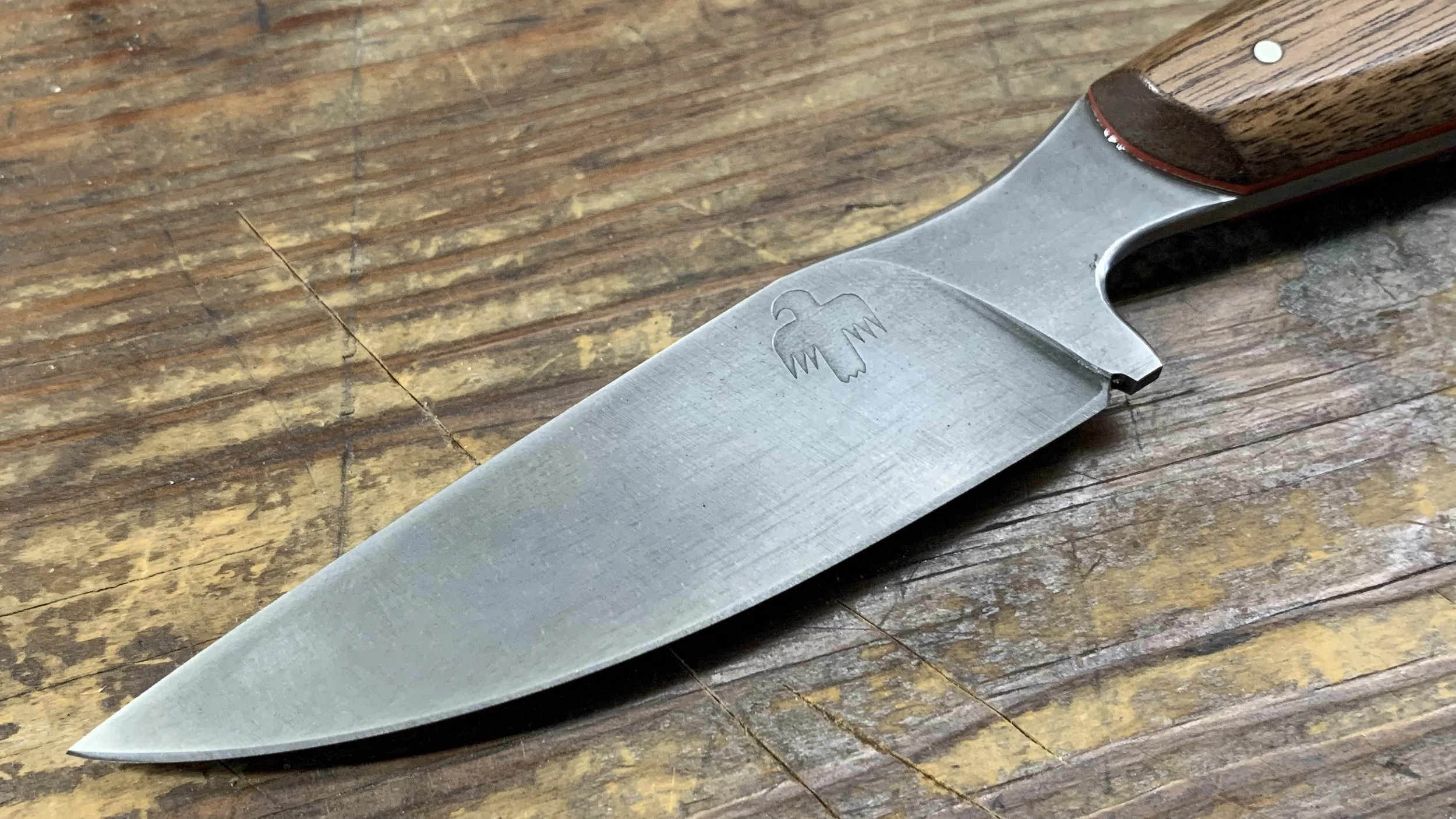 Sabine EDC 10 (8).jpg