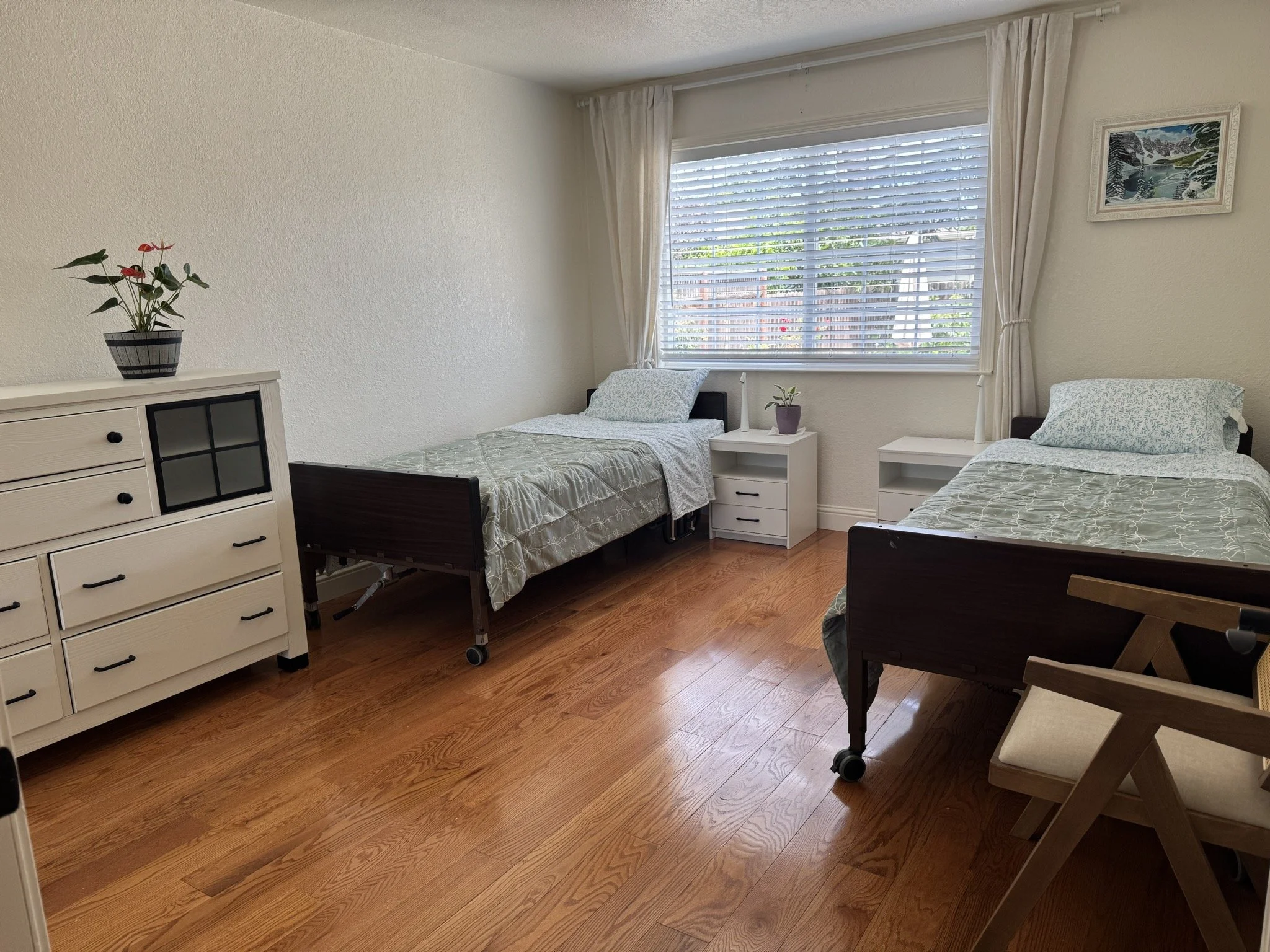 A bedroom with two single beds, each with a pillow and bedspread, positioned near a large window with white blinds and curtains. There is a white dresser with a potted plant on top, and a framed picture on the wall. The wooden floor is visible.