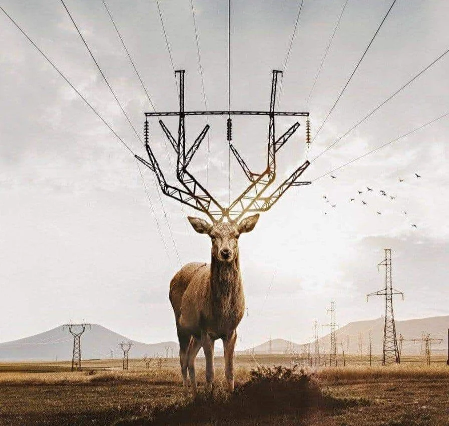 a deer with antlers that become transmission wires