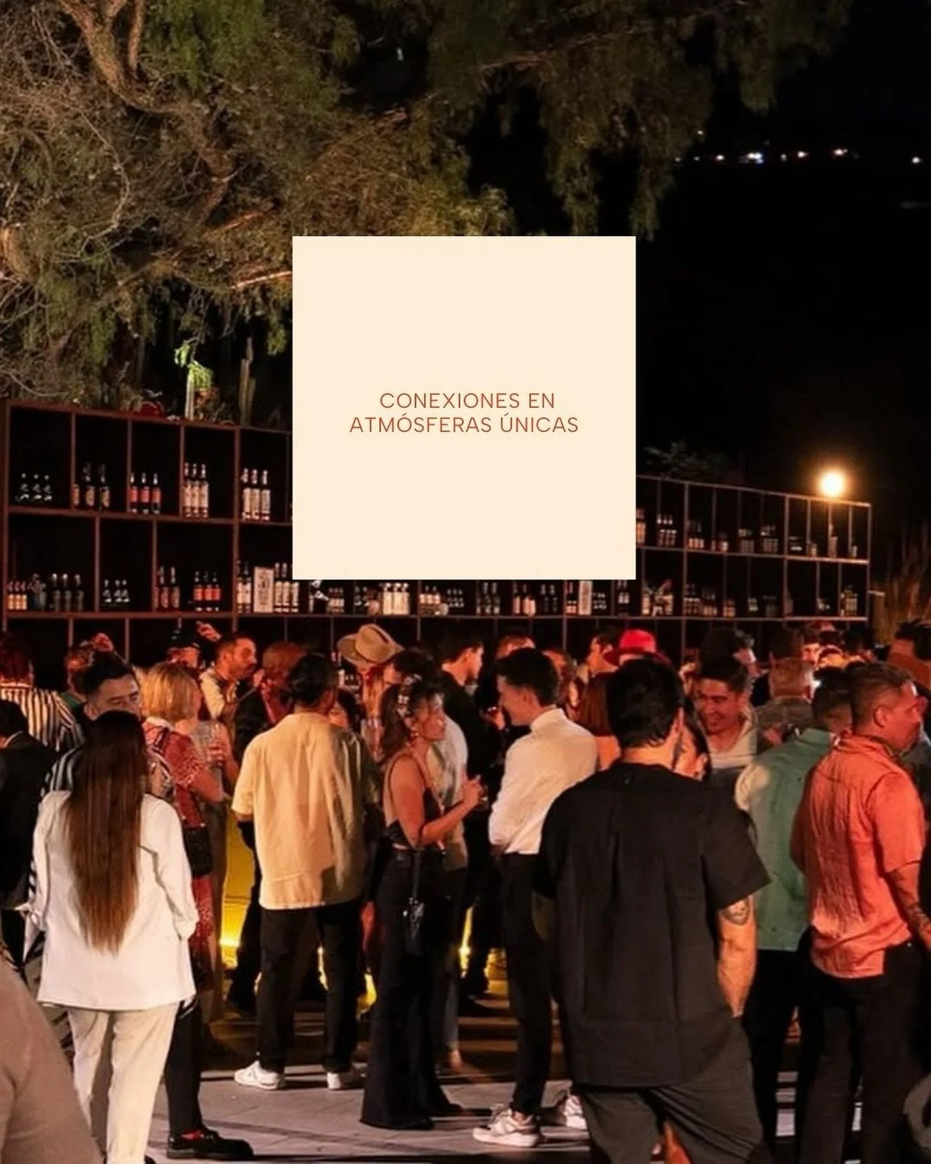 Creamos eventos que envuelven al p&uacute;blico en atm&oacute;sferas &uacute;nicas ✨

Tu visi&oacute;n, nuestra producci&oacute;n

#eventplanner