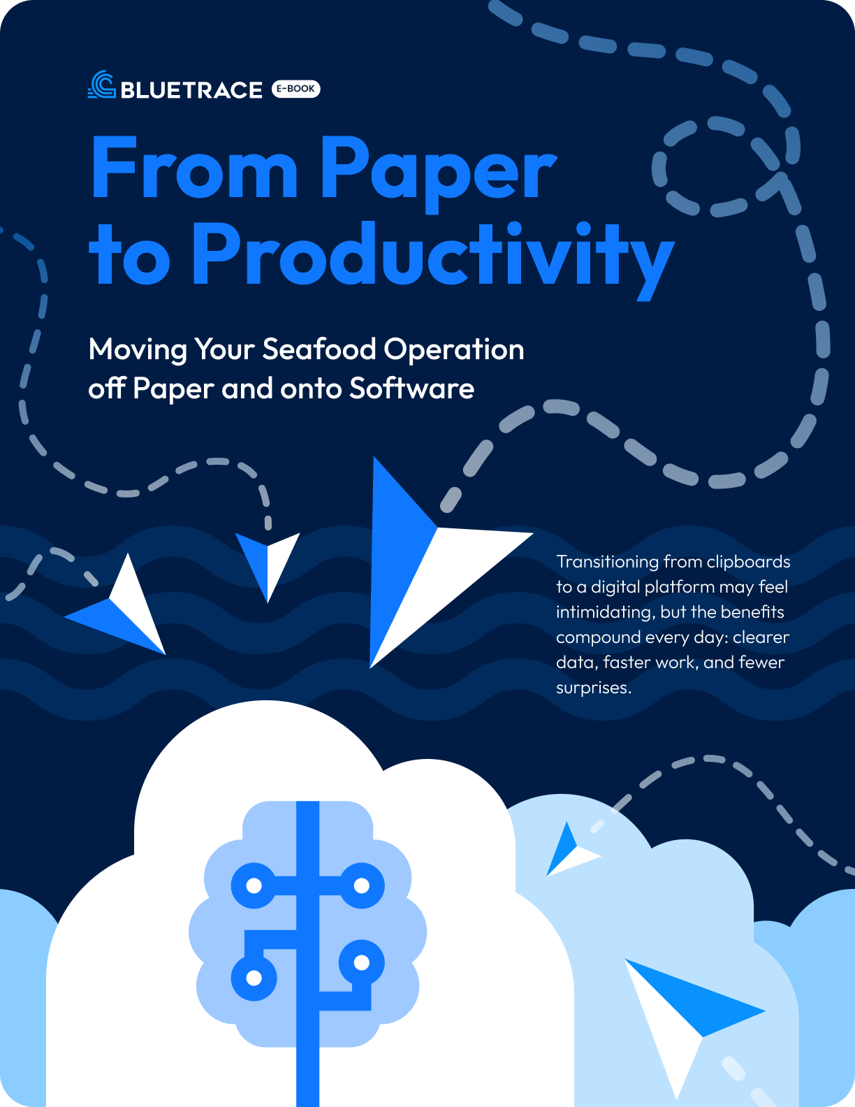 From Paper to Productivity - Cover - LP.png