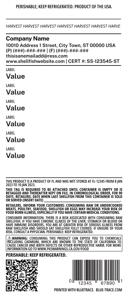 Vertical Tag3.png