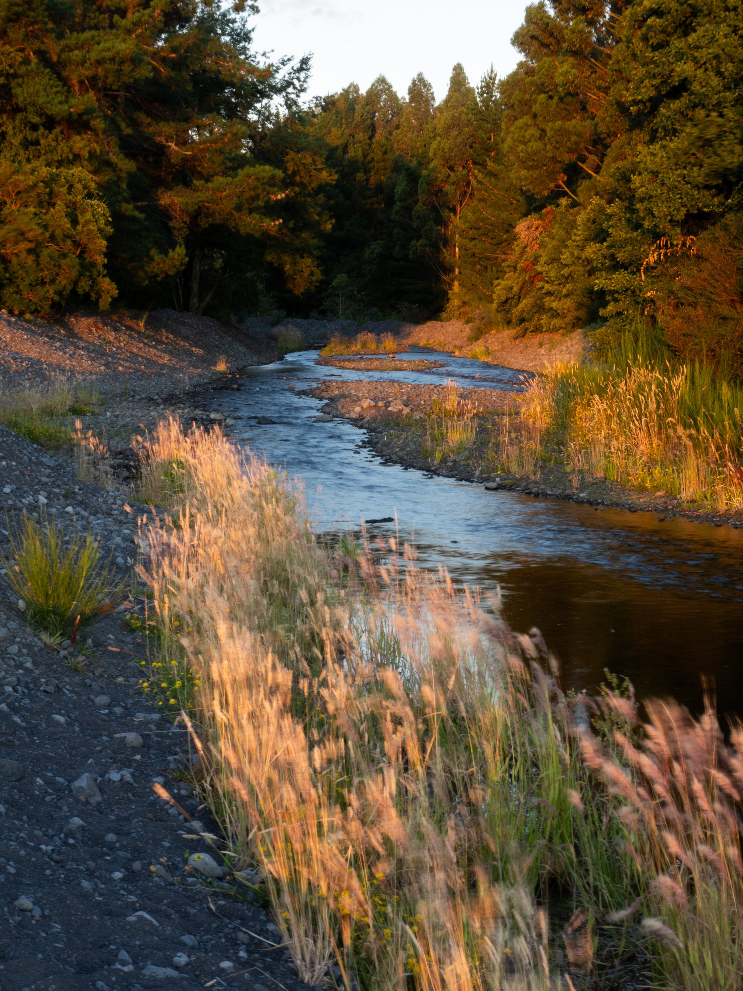 One of the inlets to Lago Llanquihue in the sunset light.