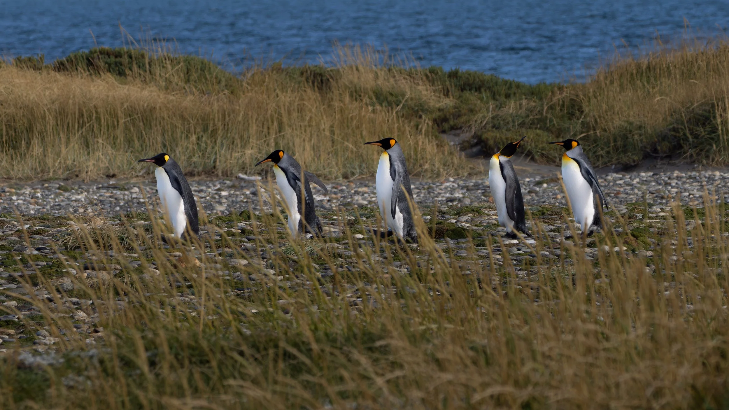 P3191443.jpg