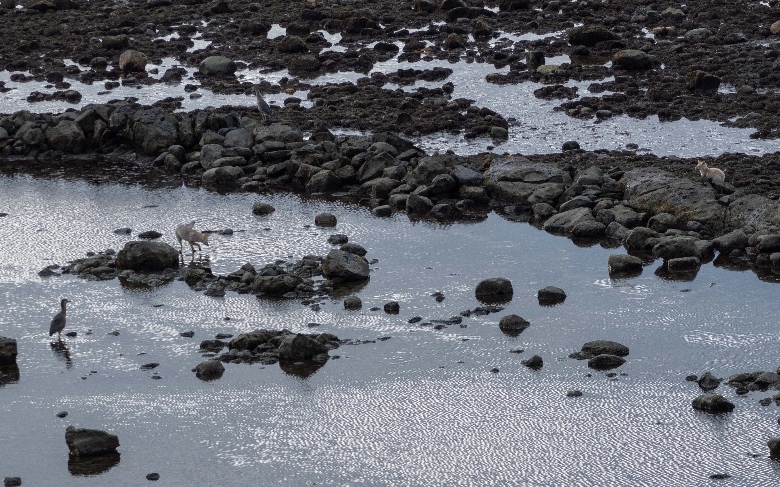 P3192195.jpg