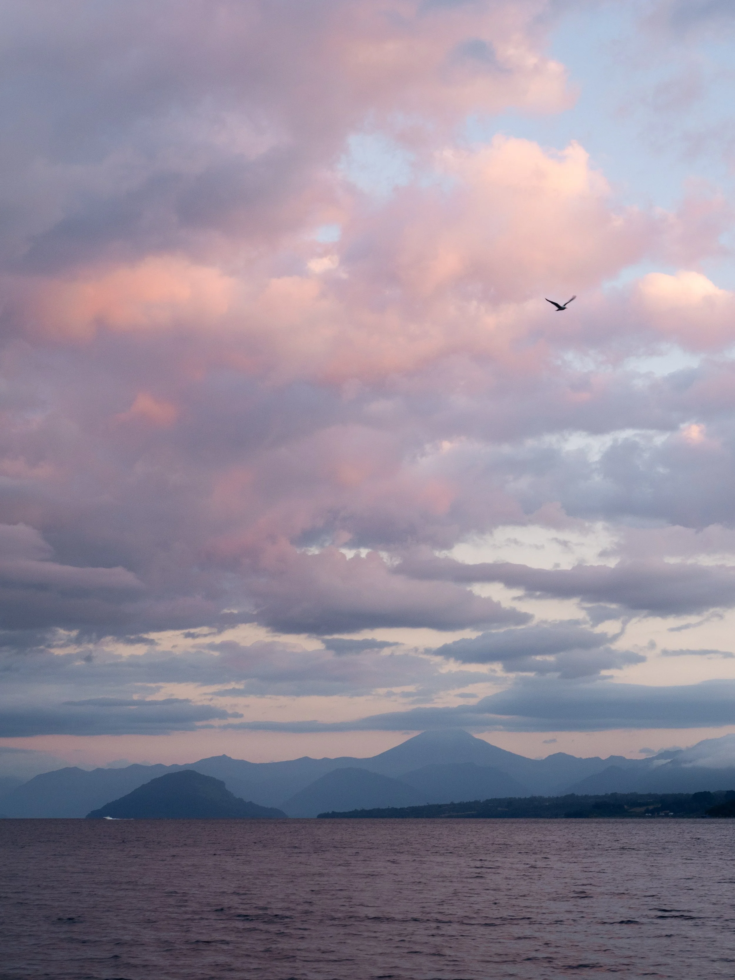 Having escaped Rio Bueno purgatory, we spent the night on the beach of Lago Rupanco. At sunset, we were treated to a beautiful display of pink clouds.