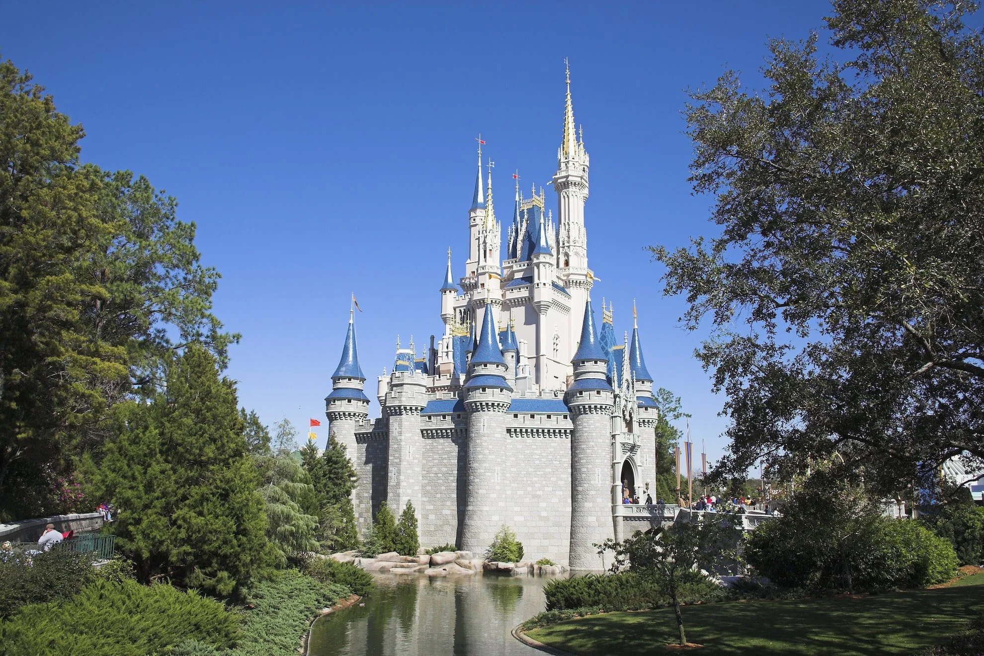 Chapter Four- Walt Disney World Consultation
