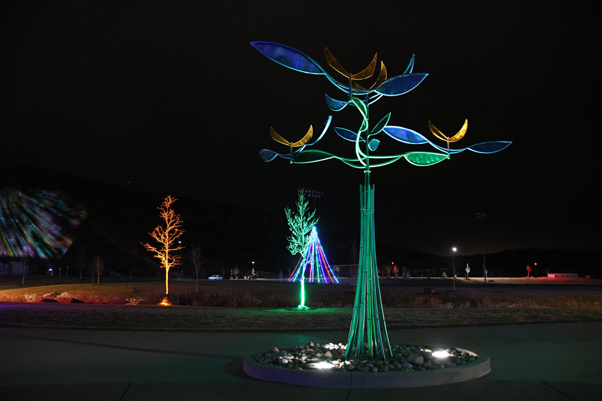 Holiday Lights 2020-16.jpg