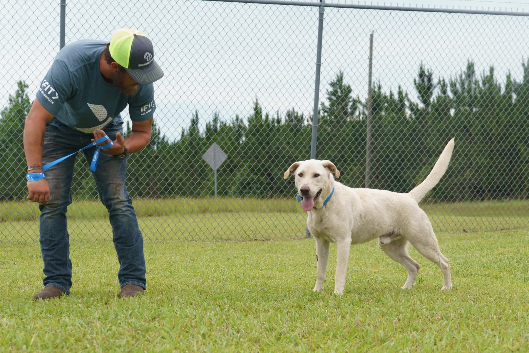 Building Foster Programs for Animal Shelters and Rescues