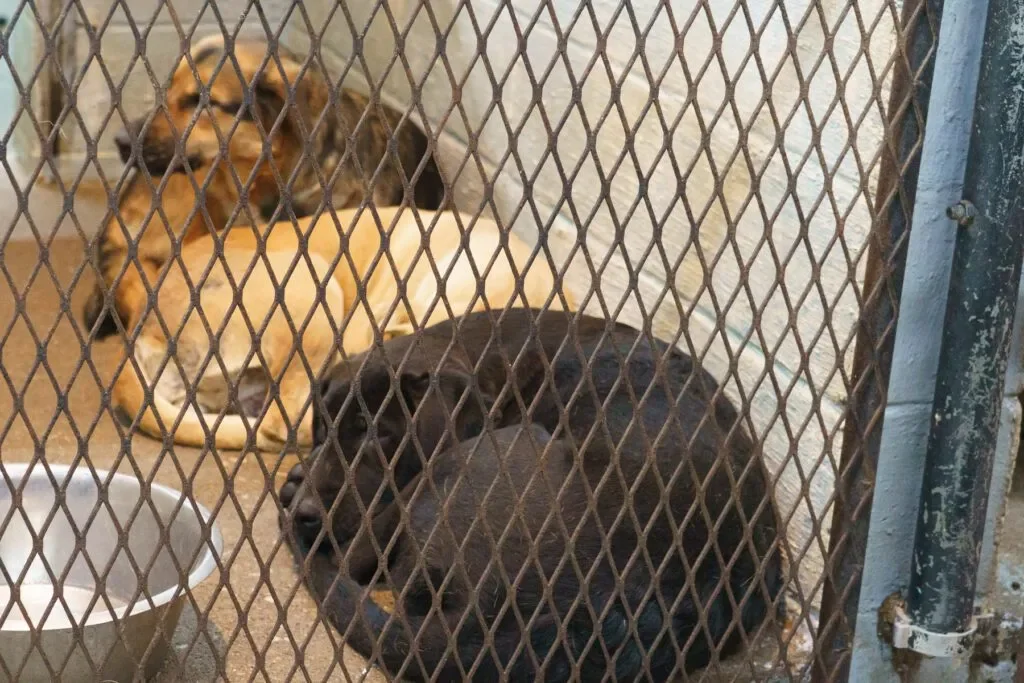 There is Heartache, but There is also Hope